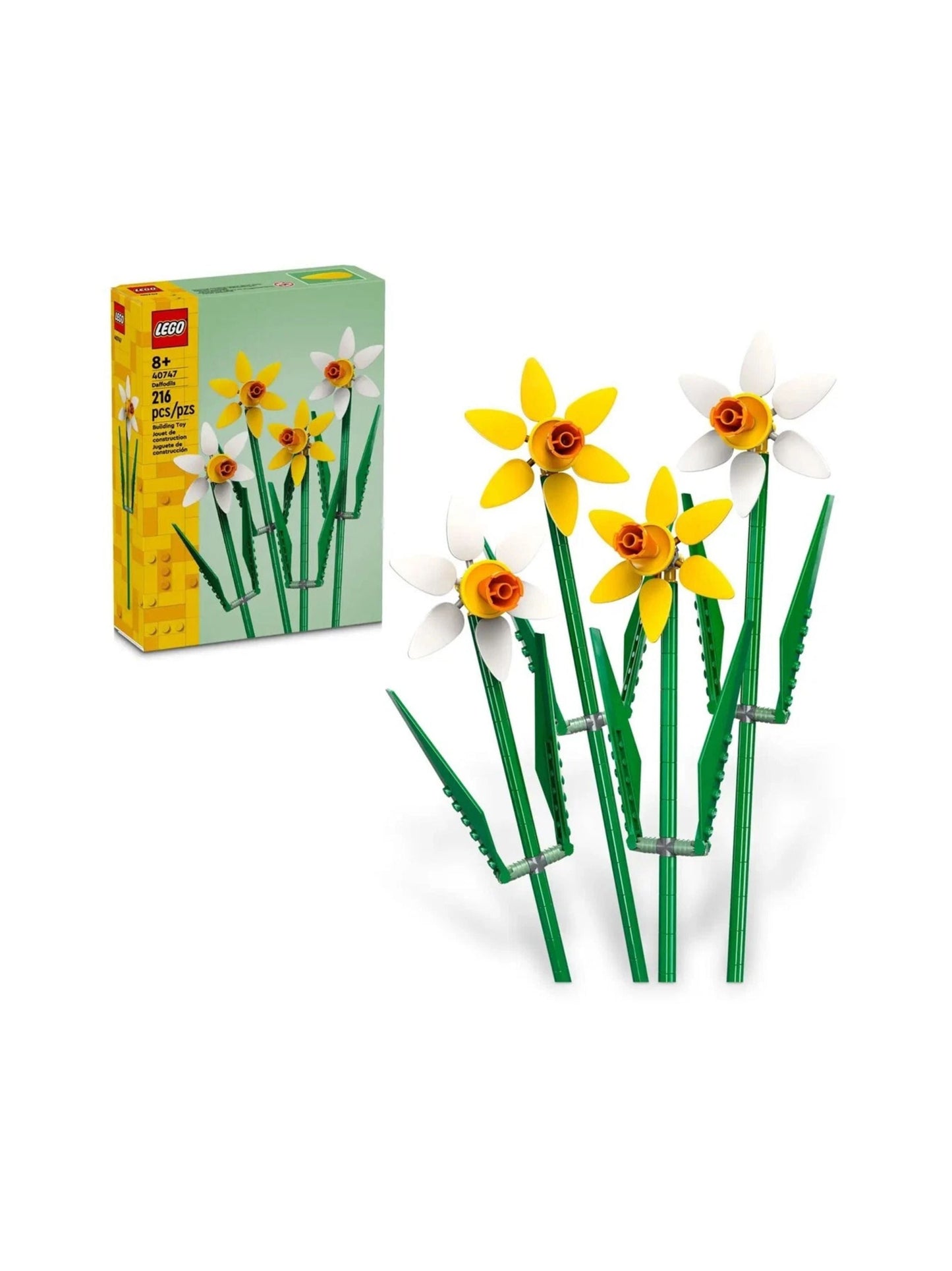 Flowers 40747 Daffodils