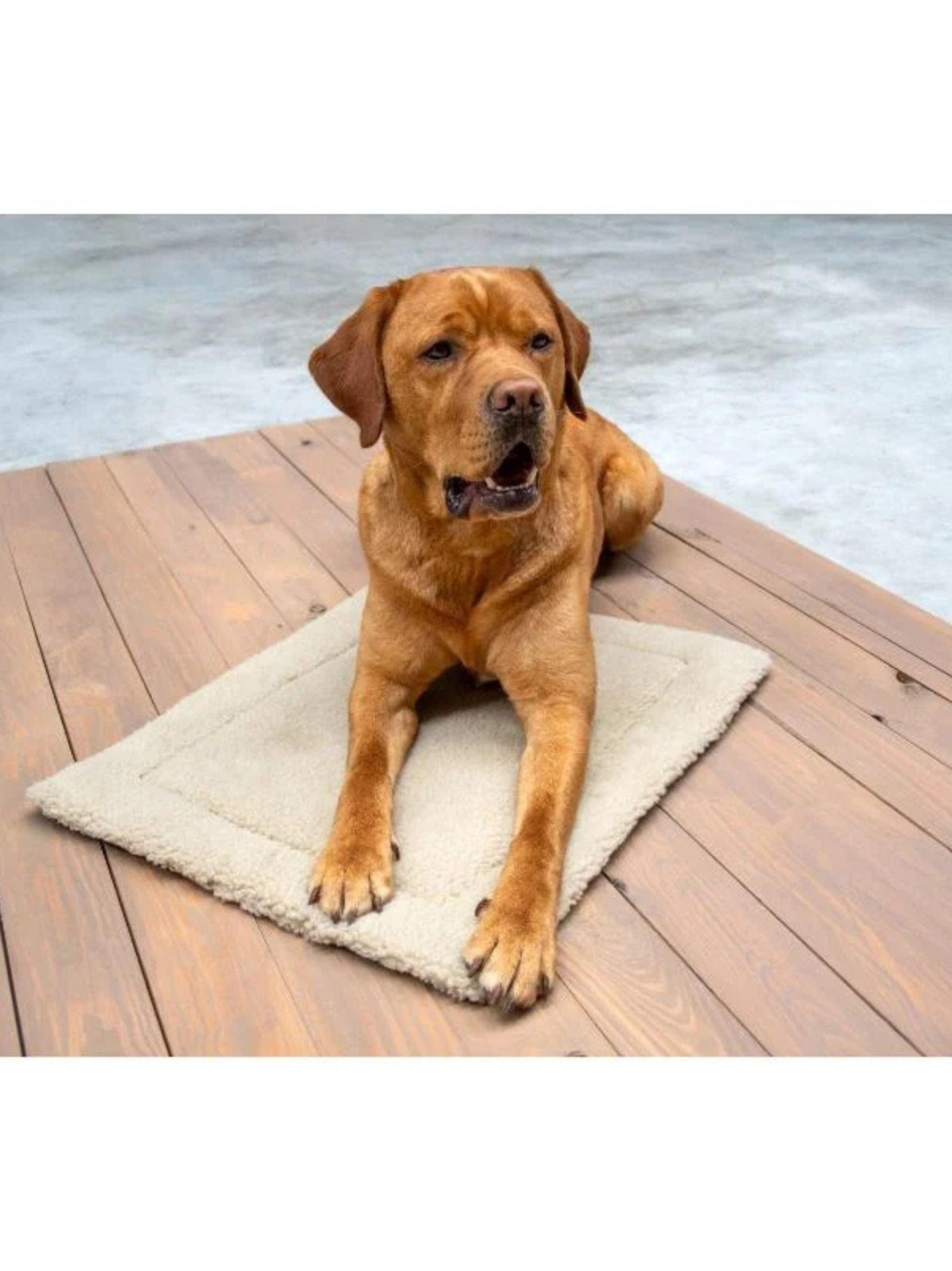 Pet Mat