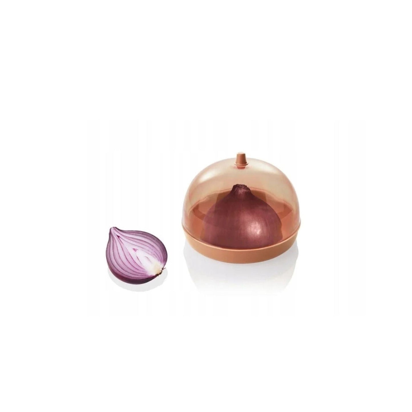Onion Container