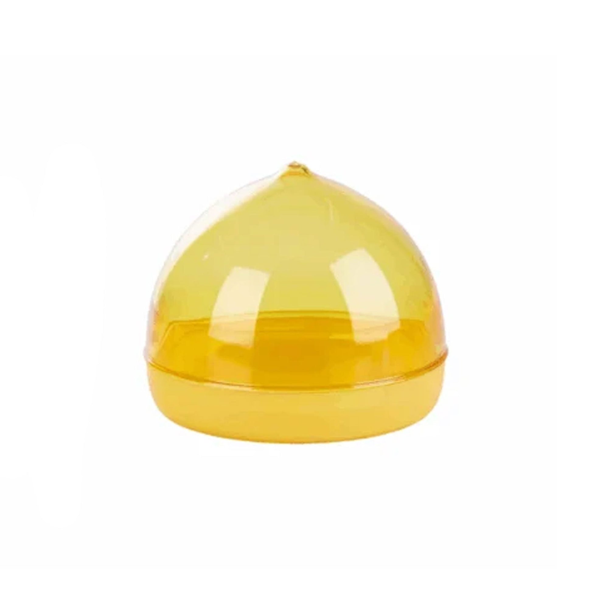 Lemon Container