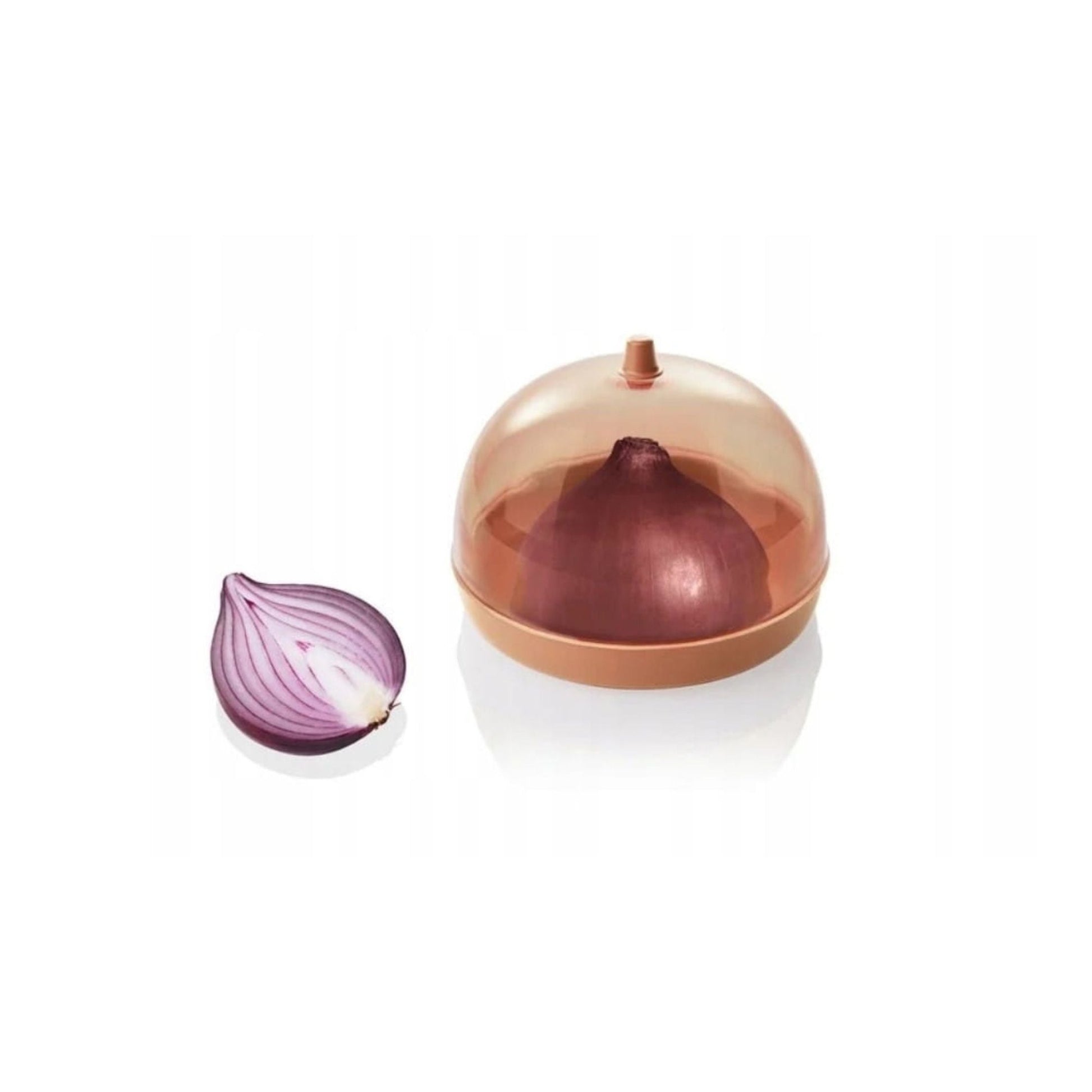 Onion Container