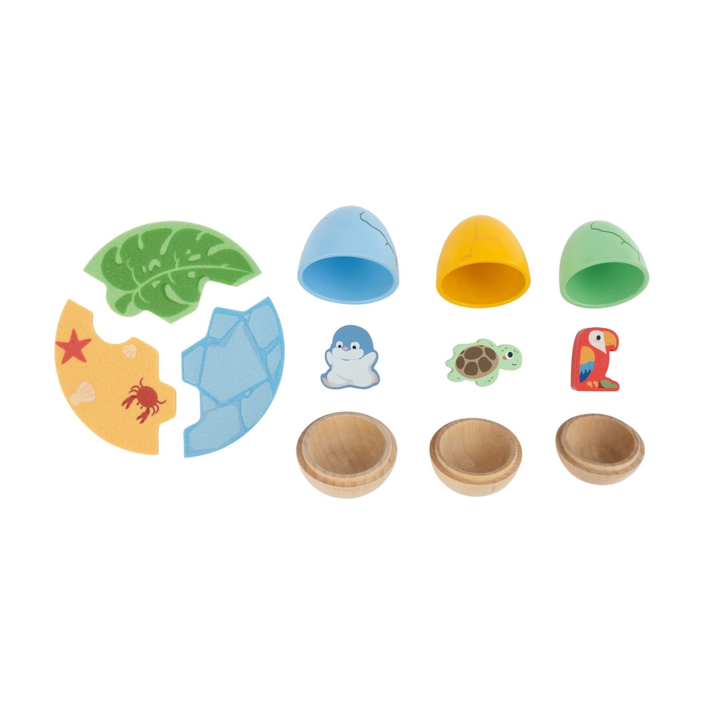 Animals In An Egg