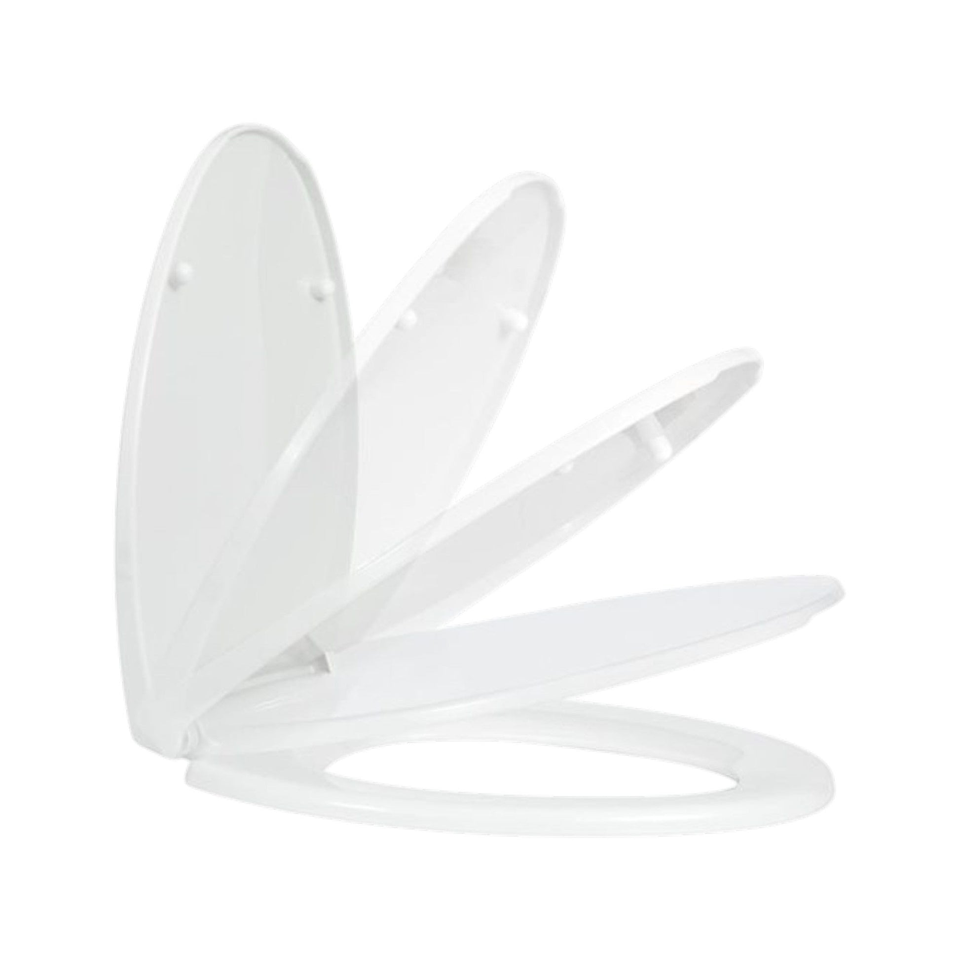 Toilet Seat