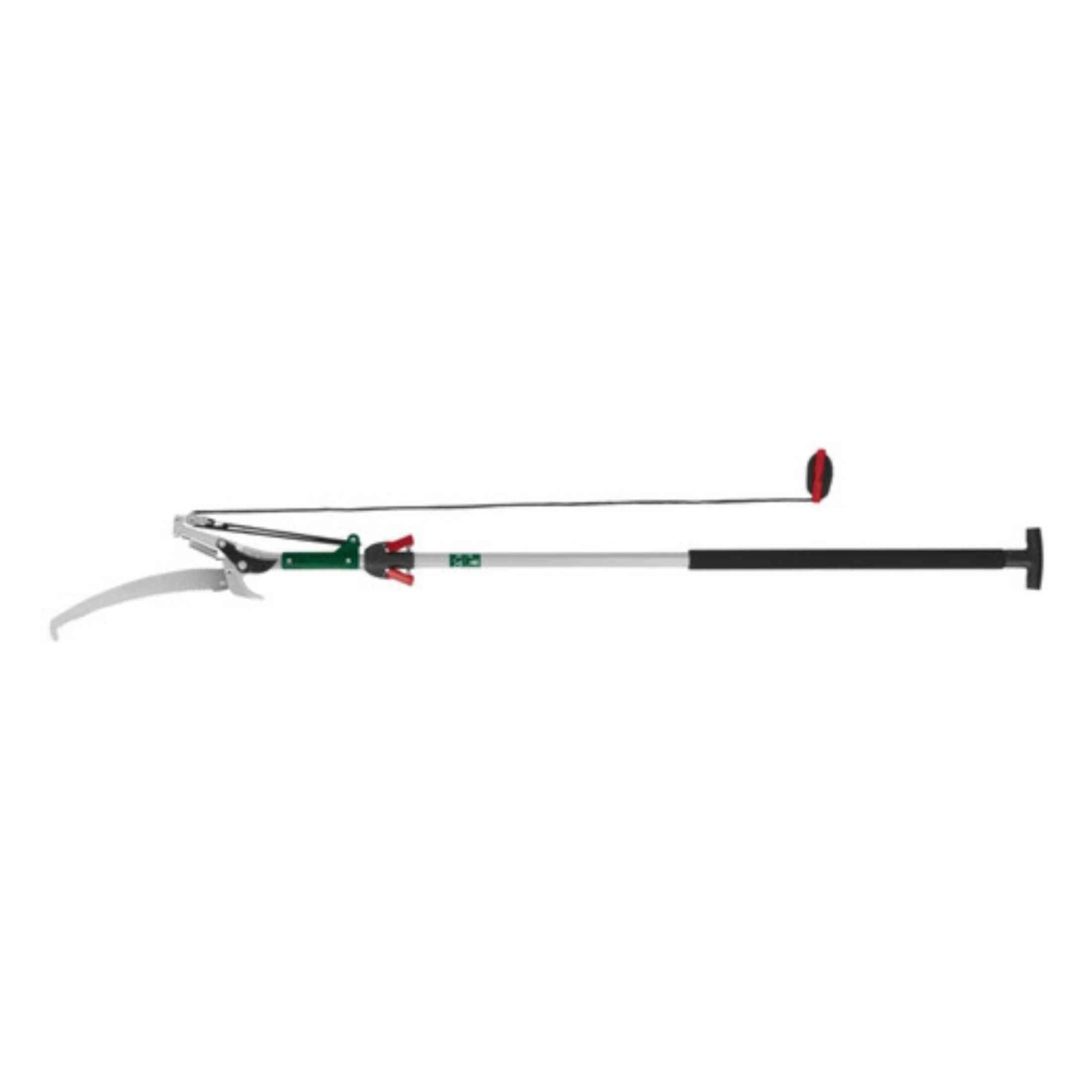 Telescopic Tree Pruner With Saw