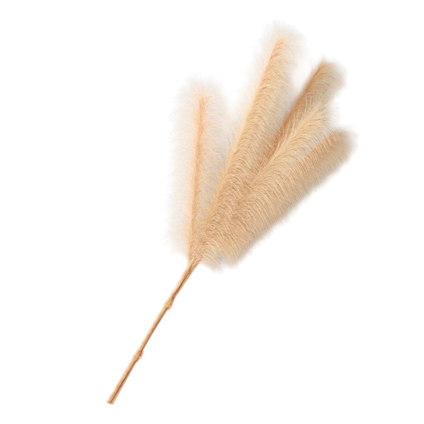 Pampas Artificial Stem