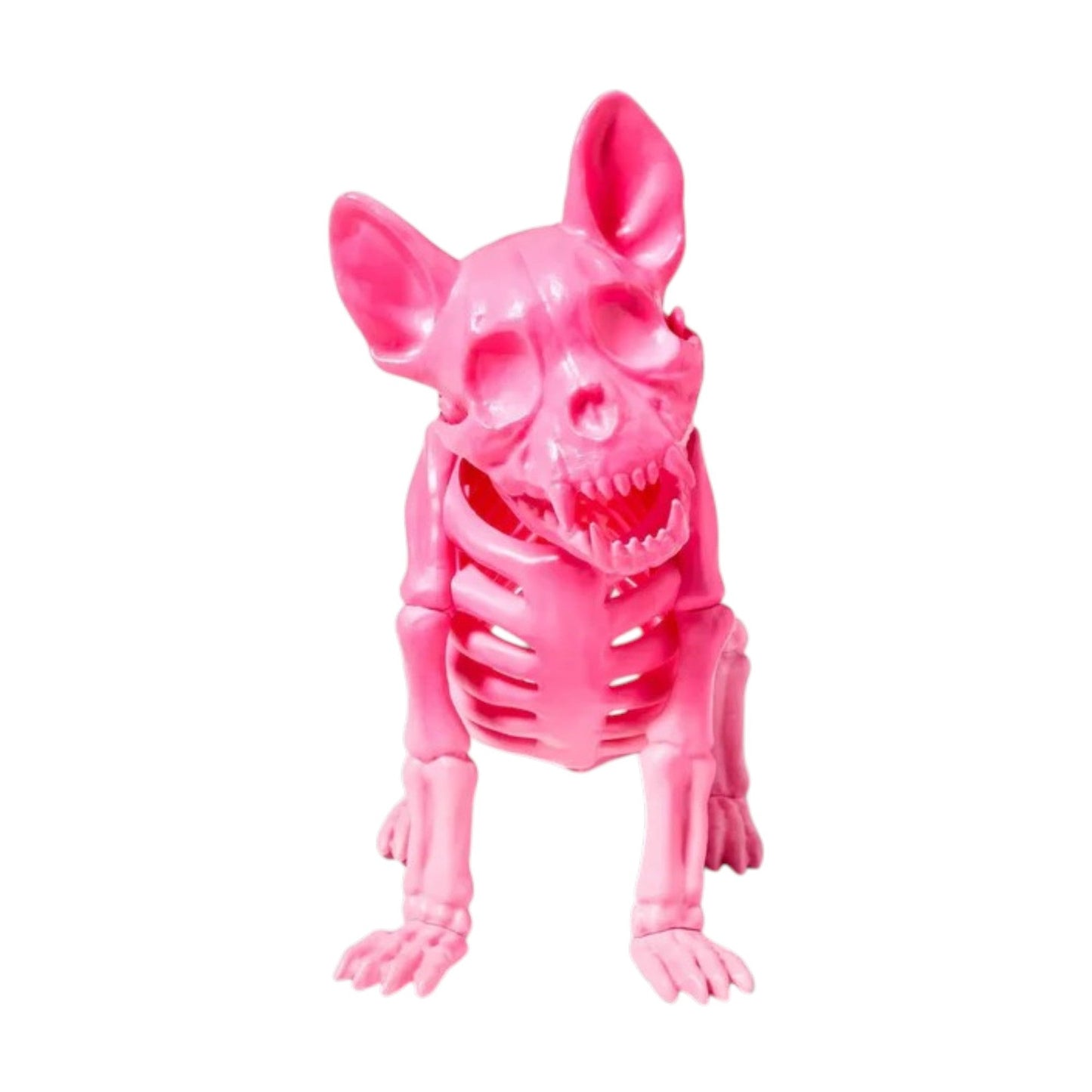 French Bulldog Skeleton