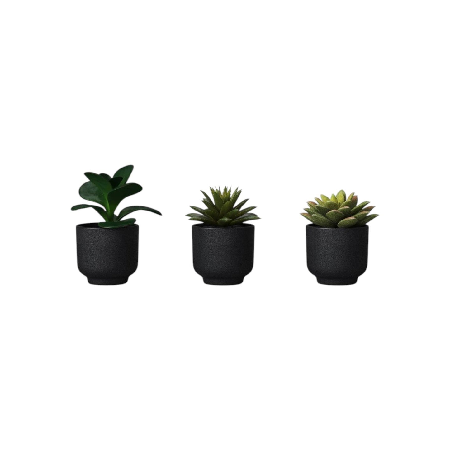 Faux Succulents
