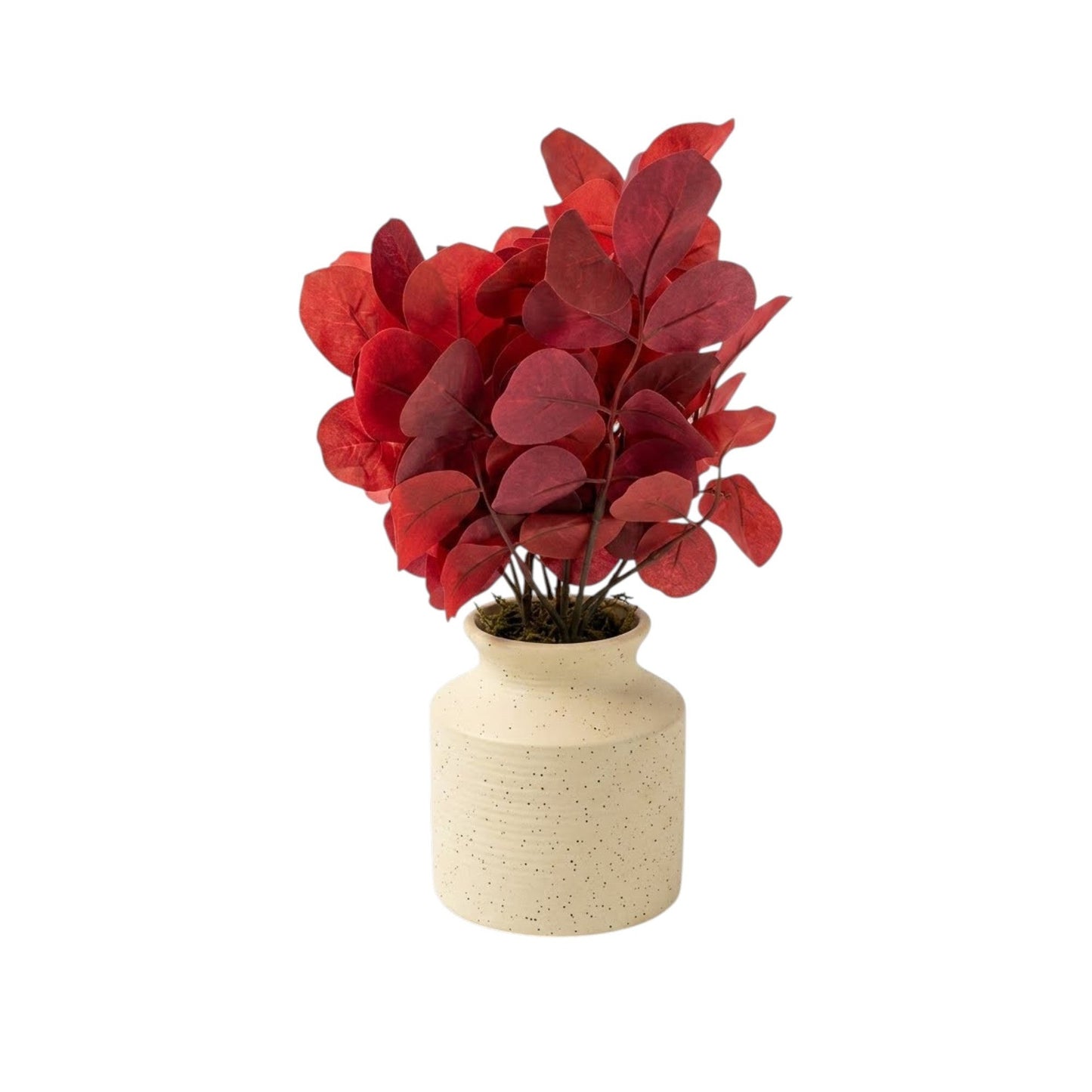 Tabletop Arrangement