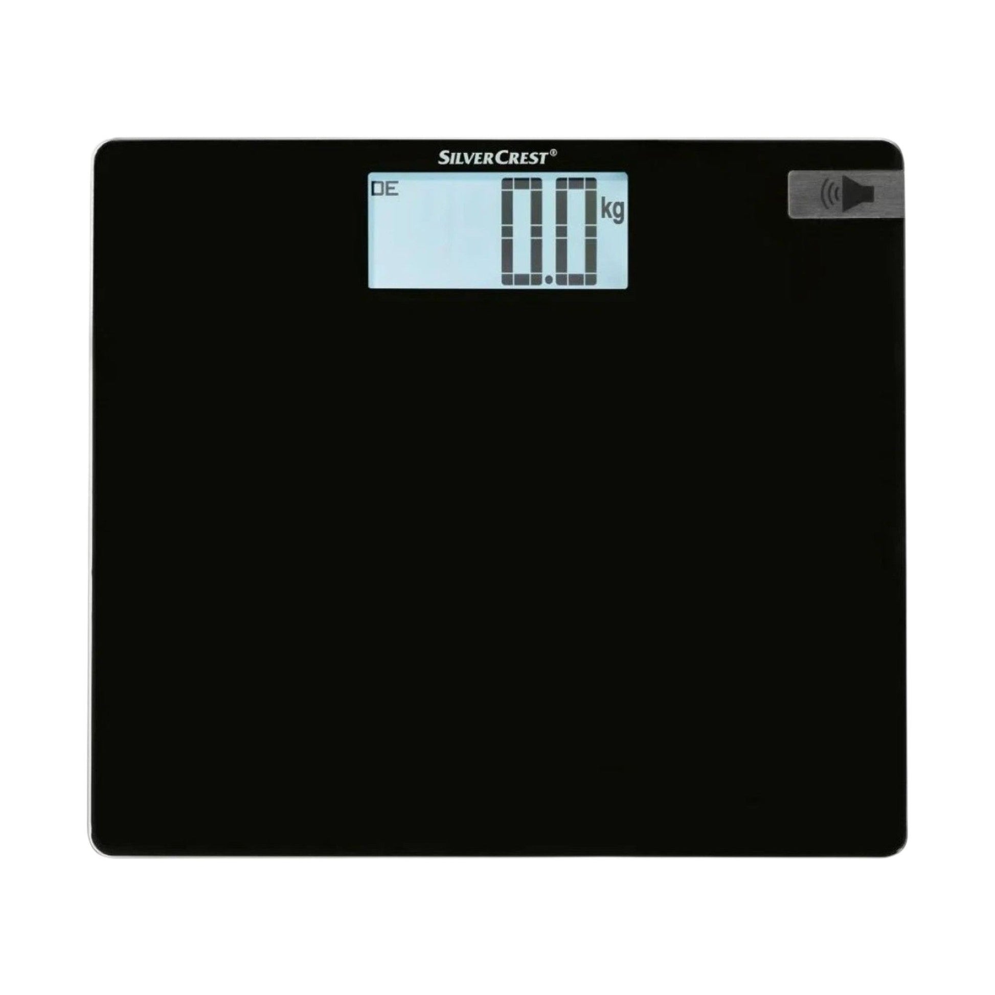 Talking Personal Scale