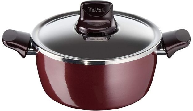 Tefal pleasure stewpot with lid (18-22-26-30)