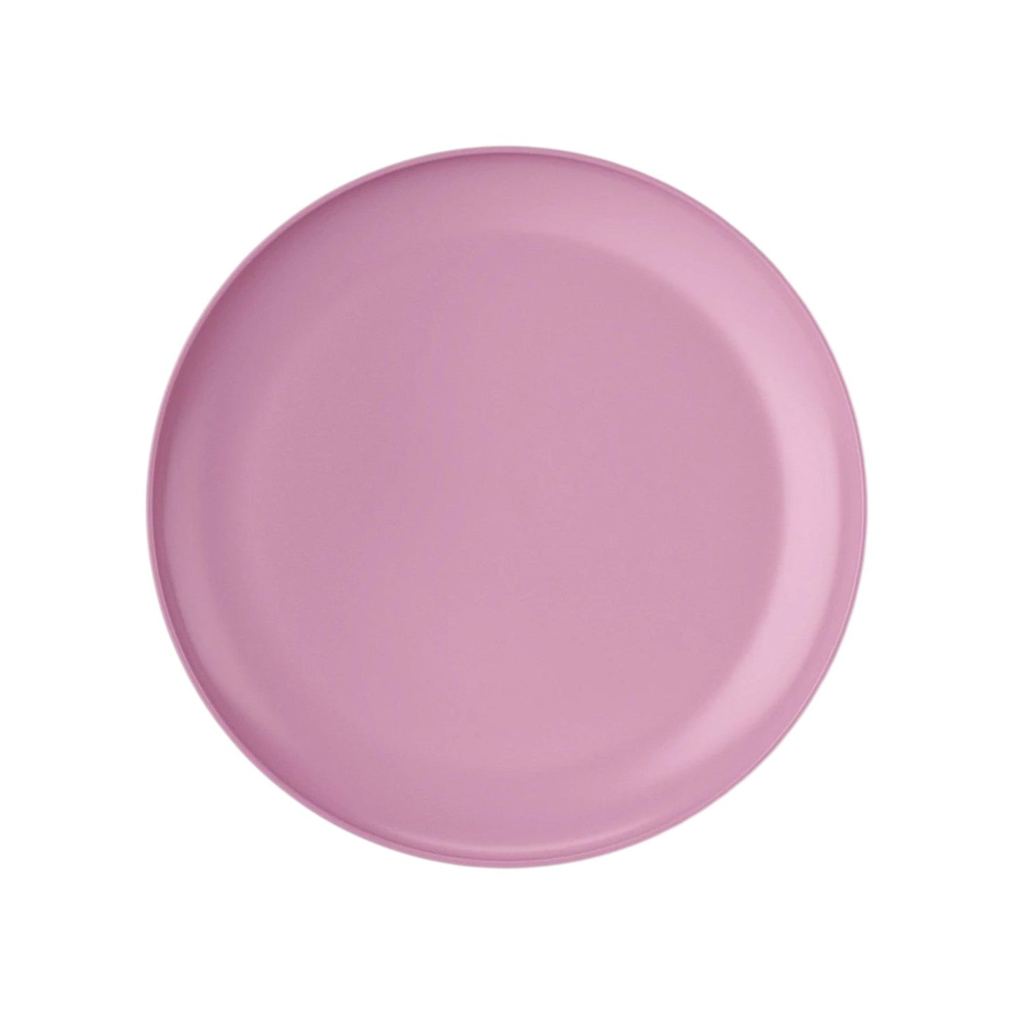 Plastic Dinner Plate