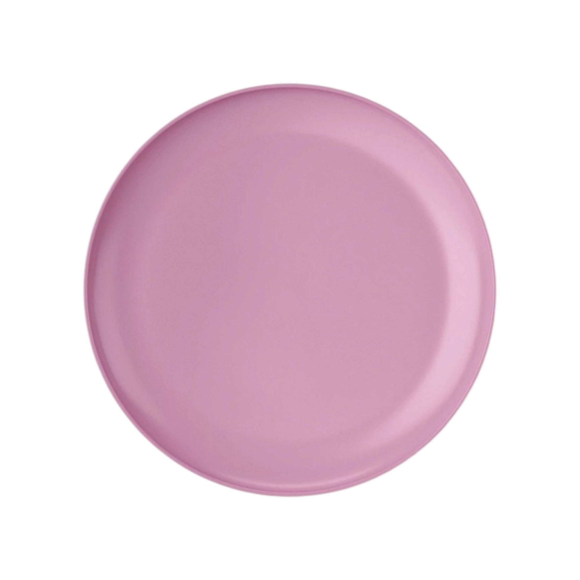 Plastic Dinner Plate