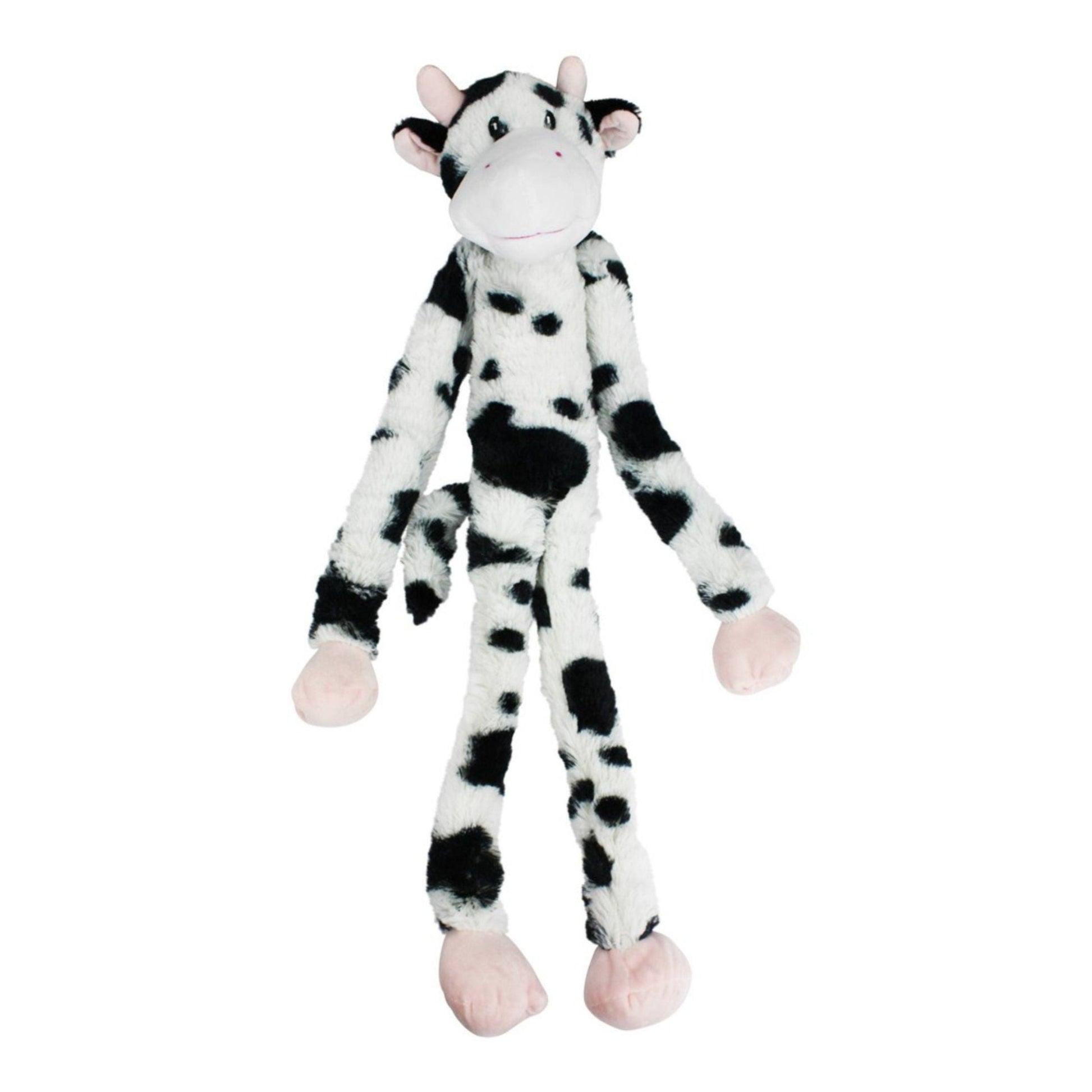 Dog Toy