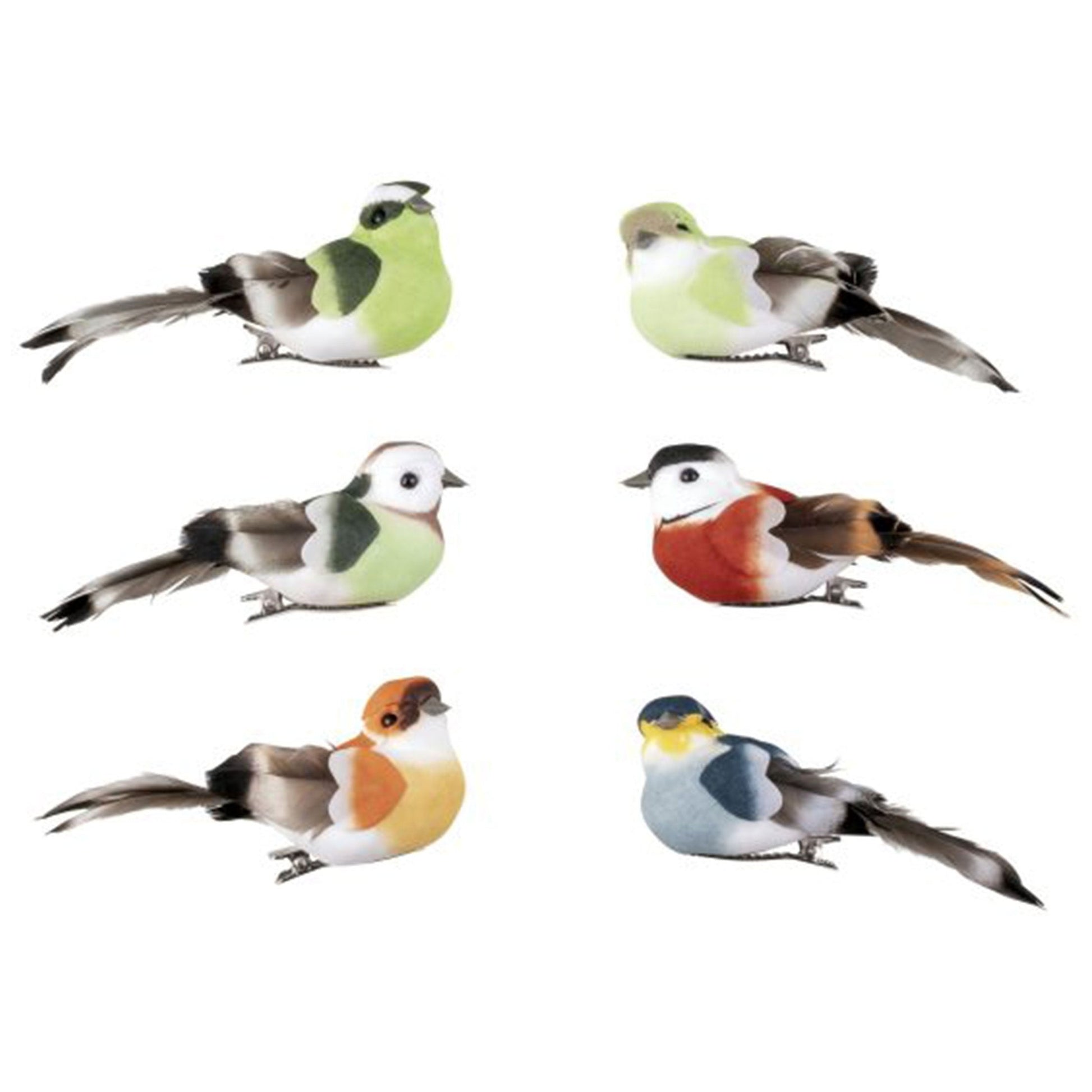 Decorative Clips Birds Naturalistic Colorful