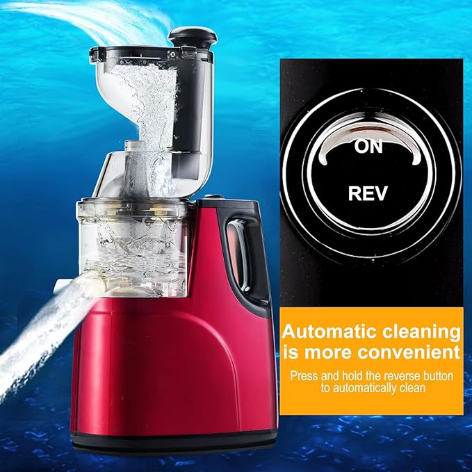 Slow Juicer