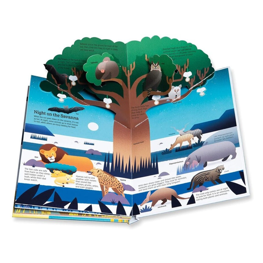 Tumama Kids - Ultimate Spotlight : Savanna Animals Book