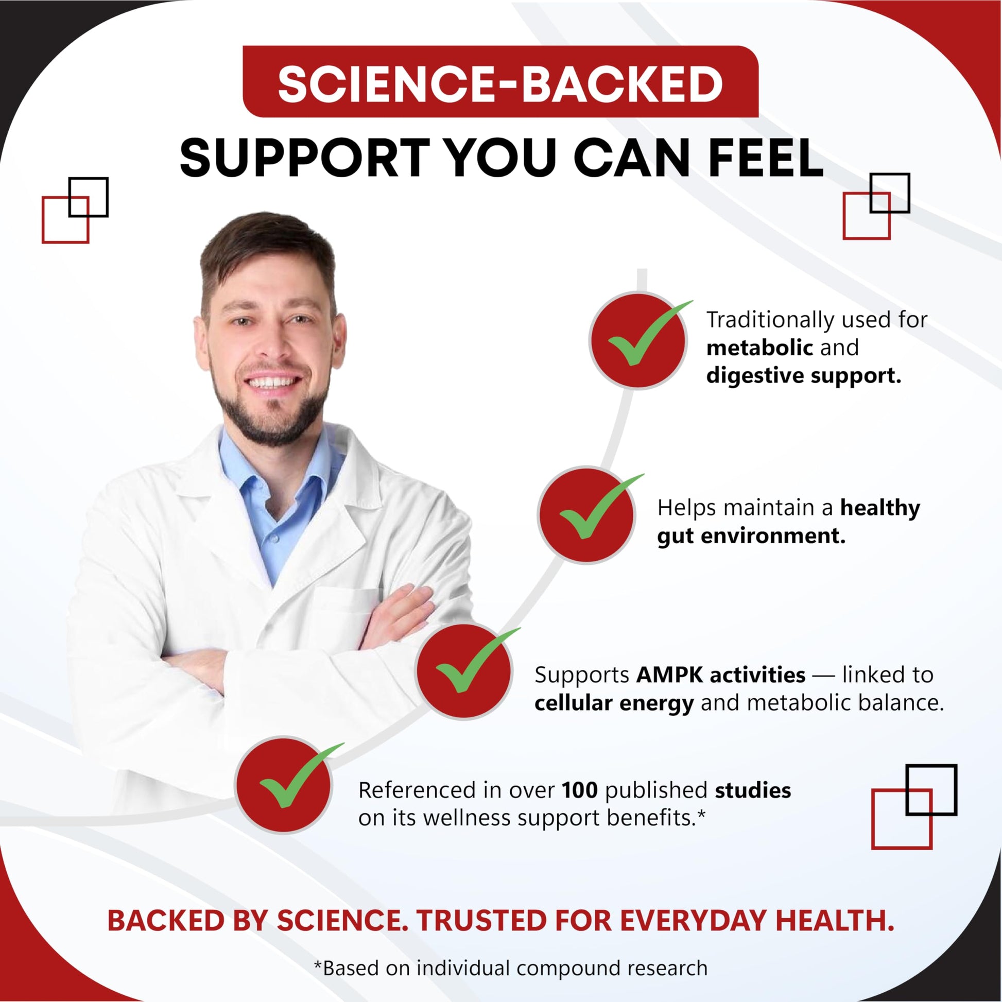 Berberine Ceylon Cinnamon - All-in-1 Supplement with Bitter Melon AVG Gymnema sylvestre Turmeric Milk Thistle Licorice Holy Basil Fenugreek Banaba - Medaid International
