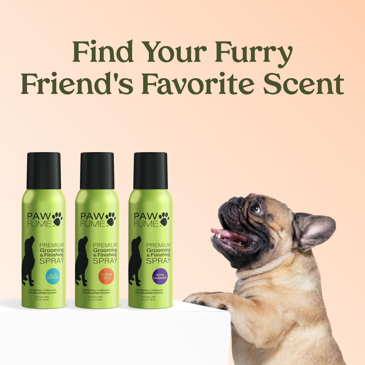 PAWFUME Dog Perfume Spray Long Lasting Scent for Grooming, Show Dog, 1-Pack – Keep Your Pup Fresh All Day – Hypoallergenic, Alcohol-Free, Detangling Formula – Moisturizing Pet Cologne Spray for Dogs - Medaid International