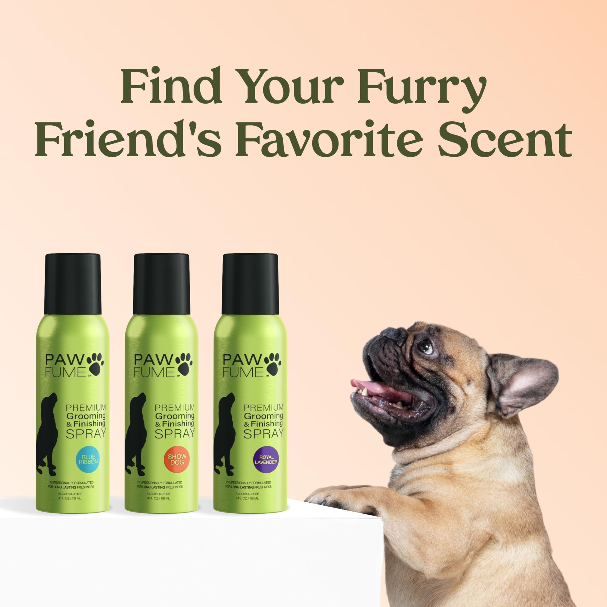 PAWFUME Dog Perfume Spray Long Lasting Scent for Grooming, Show Dog, 1-Pack – Keep Your Pup Fresh All Day – Hypoallergenic, Alcohol-Free, Detangling Formula – Moisturizing Pet Cologne Spray for Dogs - Medaid International
