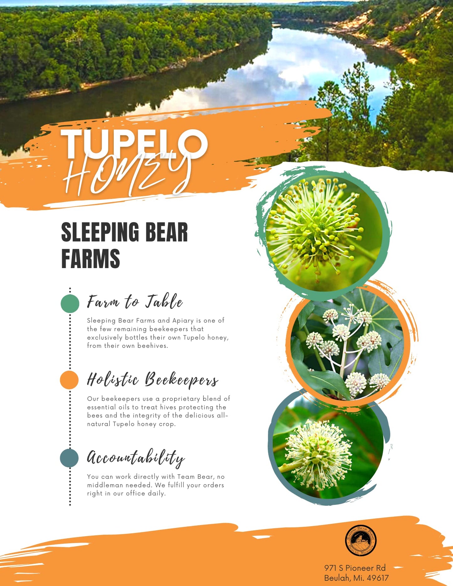 Tupelo Honey 16oz. Bottle- Premium from Sleeping Bear Farms Beekeepers in the Florida Apalachicola River Basin - Medaid International