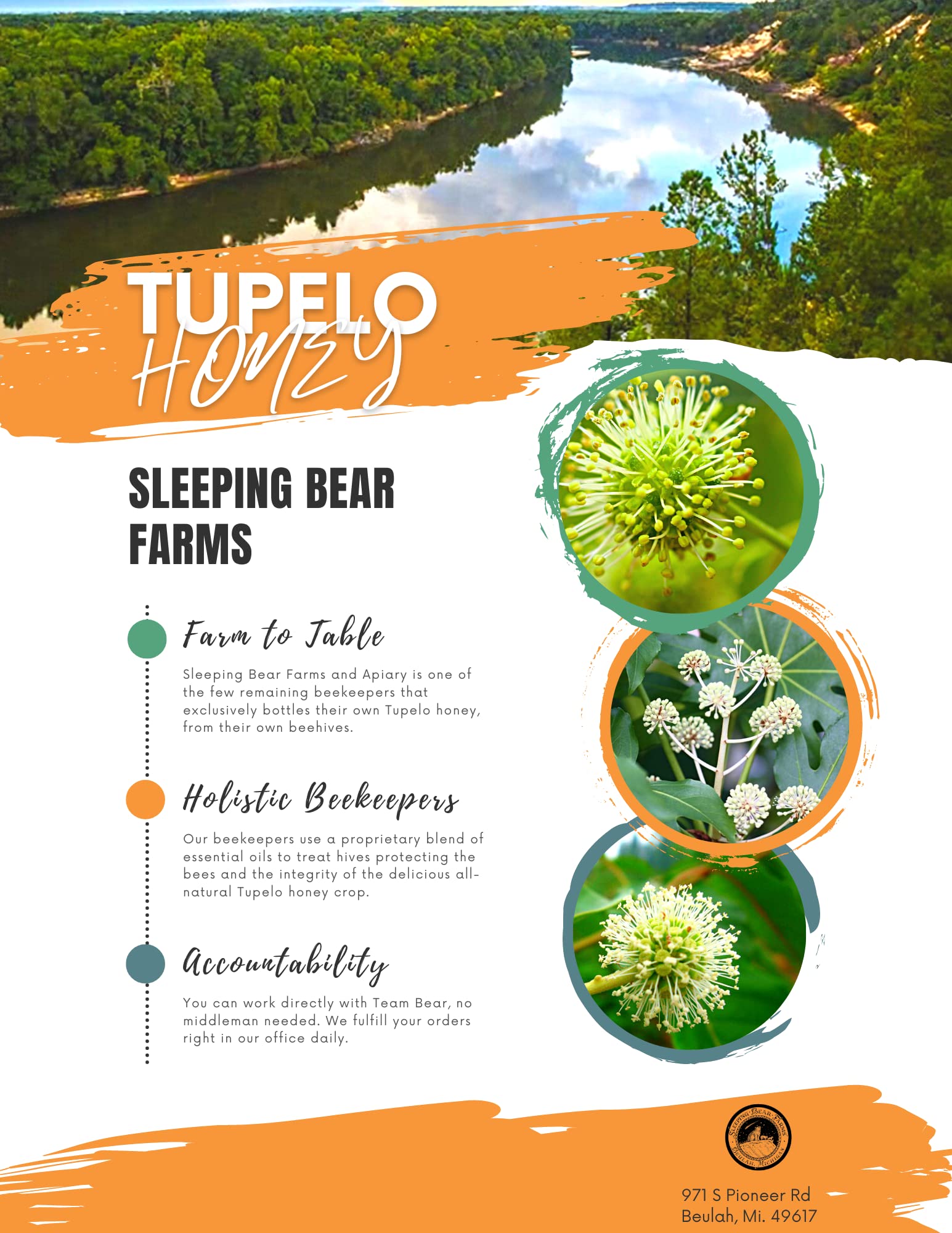 Tupelo Honey 16oz. Bottle- Premium from Sleeping Bear Farms Beekeepers in the Florida Apalachicola River Basin - Medaid International