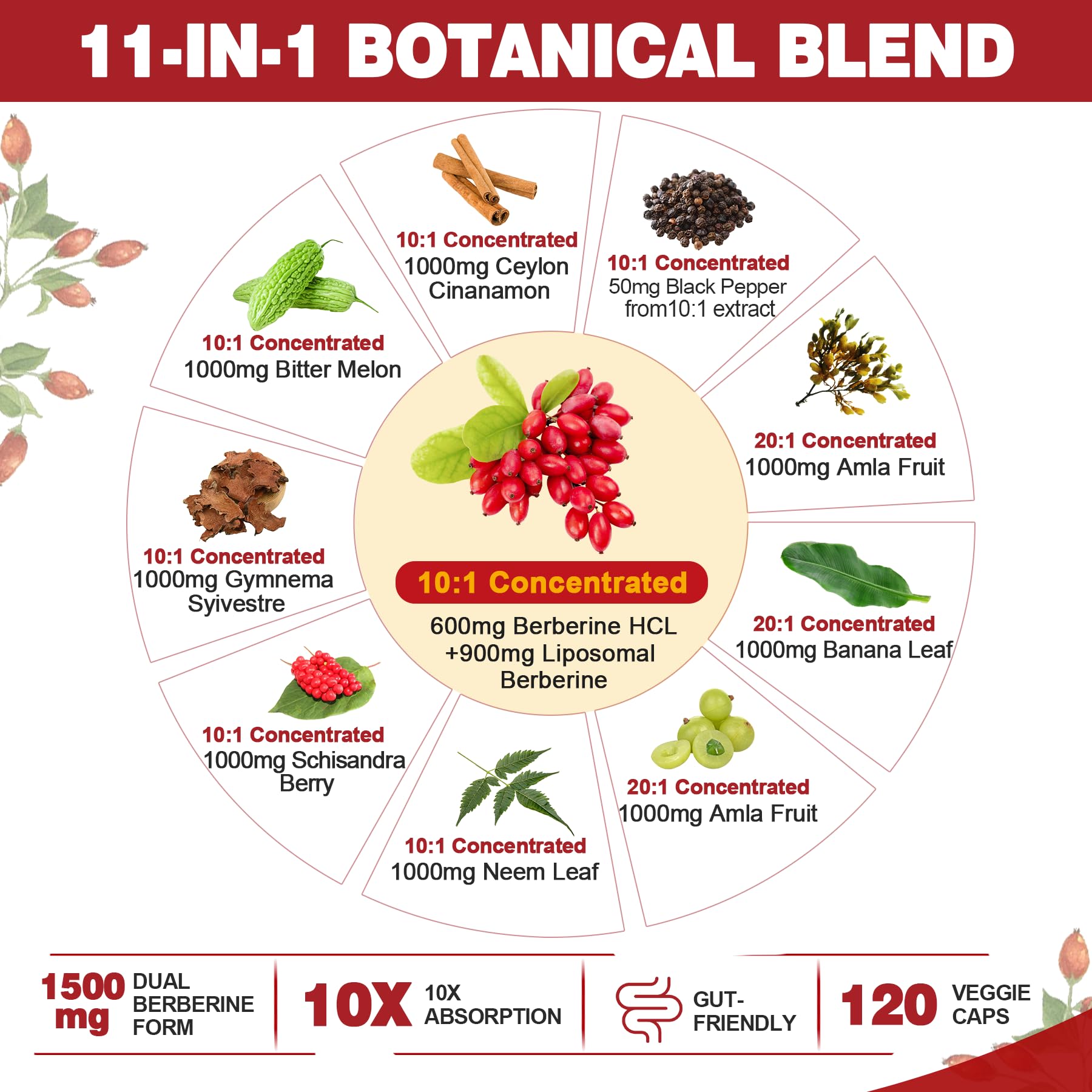 Berberine Supplement Organic 1500mg with Ceylon Cinnamon Bitter Melon, Liposomal Berberine HCL Complex Supplements, Immune & Digestive Support - Non-GMO, Organic, Vegan Berberine Capsules 120Cts - Medaid International