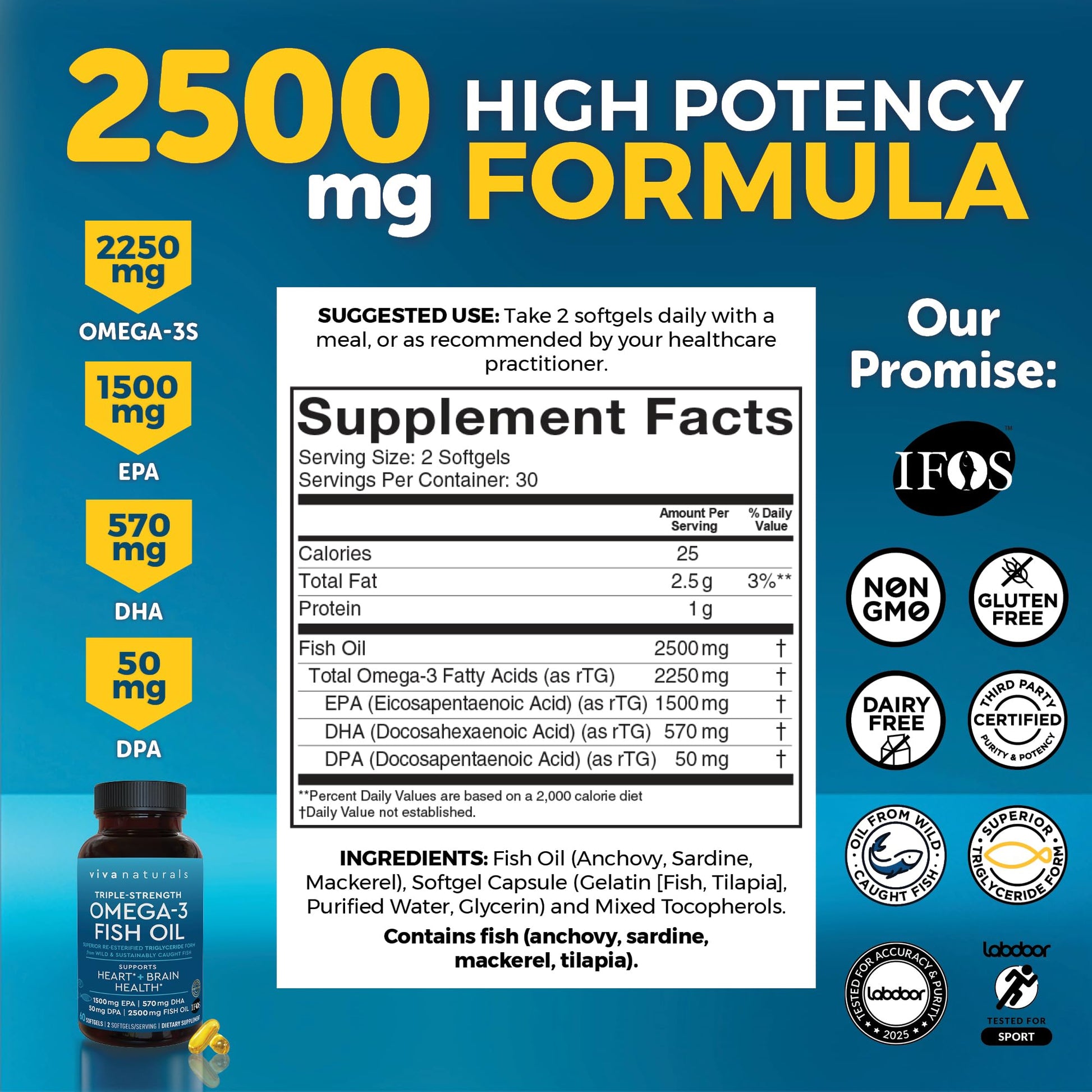 Viva Naturals Omega-3 Fish Oil, Triple Strength, 2500 mg, 60 Softgels – Re-Esterified Omega 3 Fatty Acids Including EPA, DHA, DPA - Pascatarian-Friendly - Medaid International