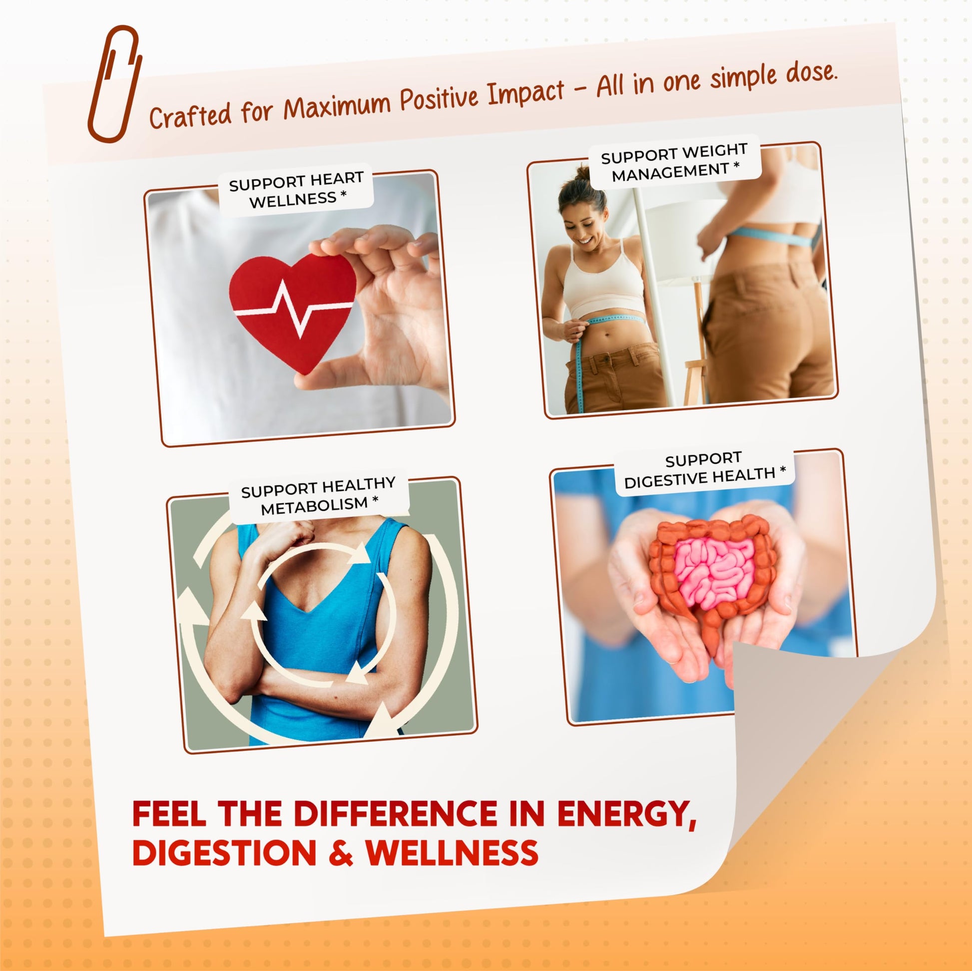 PEAKPURY Berberine Cinnamon Apple Cider Vinegar Turmeric - Overall Wellness Support- Made in USA - Medaid International