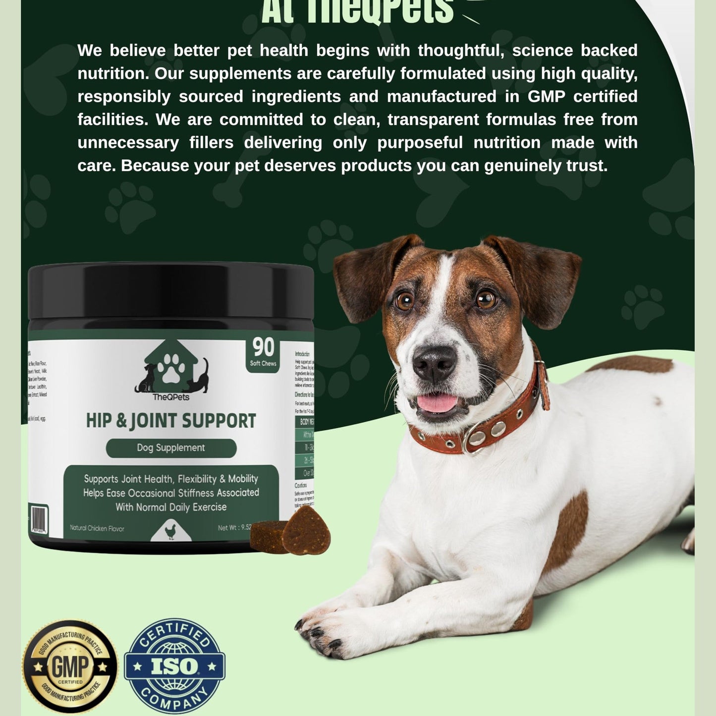 TheQPets Hip & Joint Support for Dogs, 90 Soft Chews – Glucosamine, MSM, Chondroitin, Turmeric, Green‑Lipped Mussel & Collagen – Supports Joint Health, Flexibility & Mobility – Chicken Flavor
