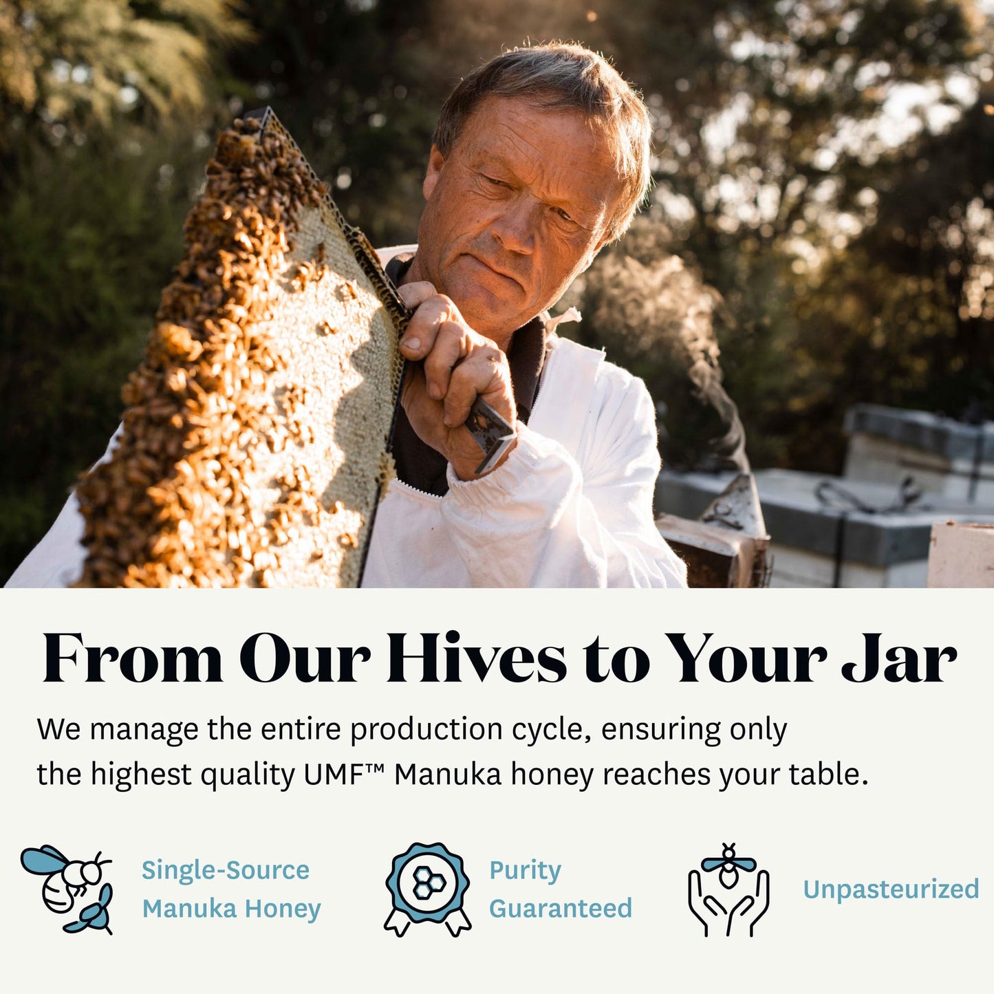 WildCape Manuka Honey Certified UMF 10+/MGO 263+ - 100% Pure, Raw, Unpasteurized, Non-GMO, Made in New Zealand - 35.2 oz (Pack of 1) - Medaid International