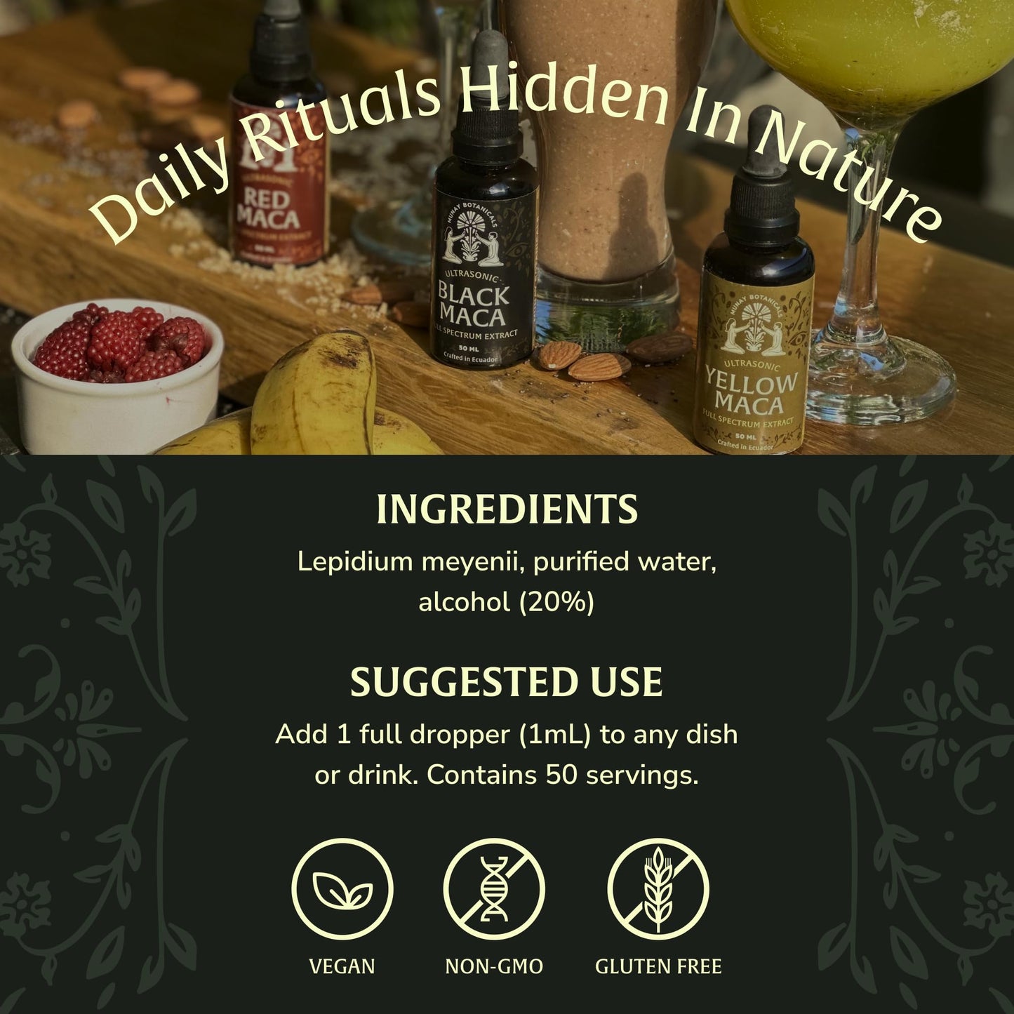 Munay Botanicals Black Maca Extract 50ml – Andean Plant-Based Ingredient for Endurance, Focus & Vitality | Traditionally Used for Generations | Vegan, Non-GMO Clean Maca Root Drops – 50 Servings - Medaid International