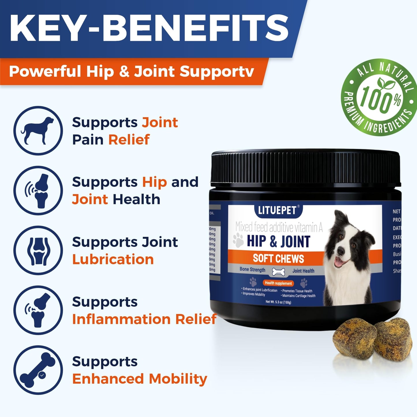 Advanced Glucosamine Chondroitin for Dogs - 60 Tablets Hip & Joint Supplement with MSM & Turmeric - All-Natural Pain Relief Formula for All Breeds