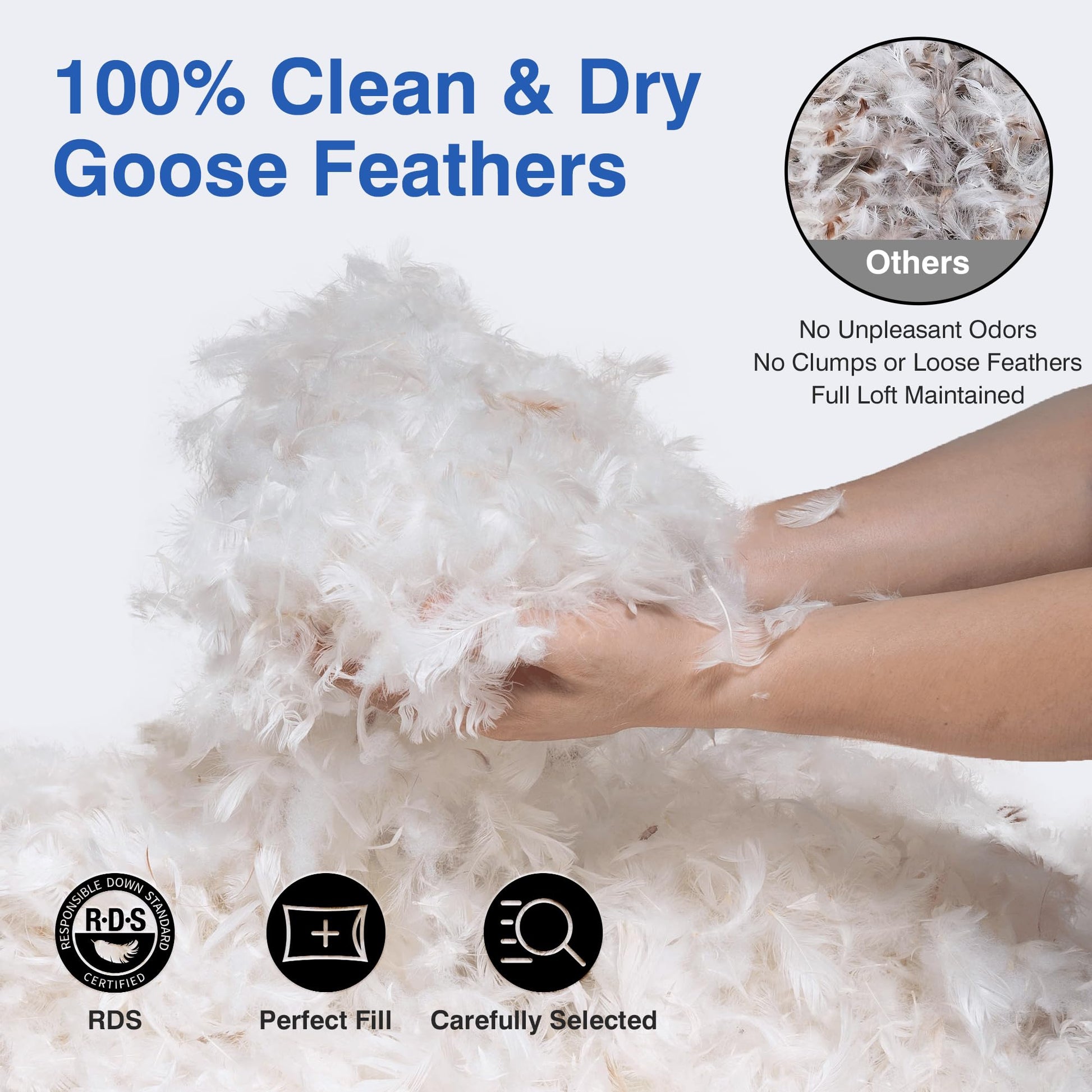 zibroges Goose Feather Pillows Queen Size Pack of 2 - Hotel Down Bed Pillow for Sleeping, Soft 600 Thread Count Cotton Cover, Fluffy Support Surround Fill Polyester for Side, Stomach, Back Sleepers - Medaid International