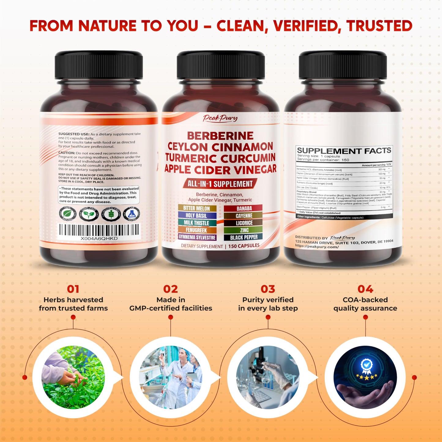 PEAKPURY Berberine Cinnamon Apple Cider Vinegar Turmeric - Overall Wellness Support- Made in USA - Medaid International