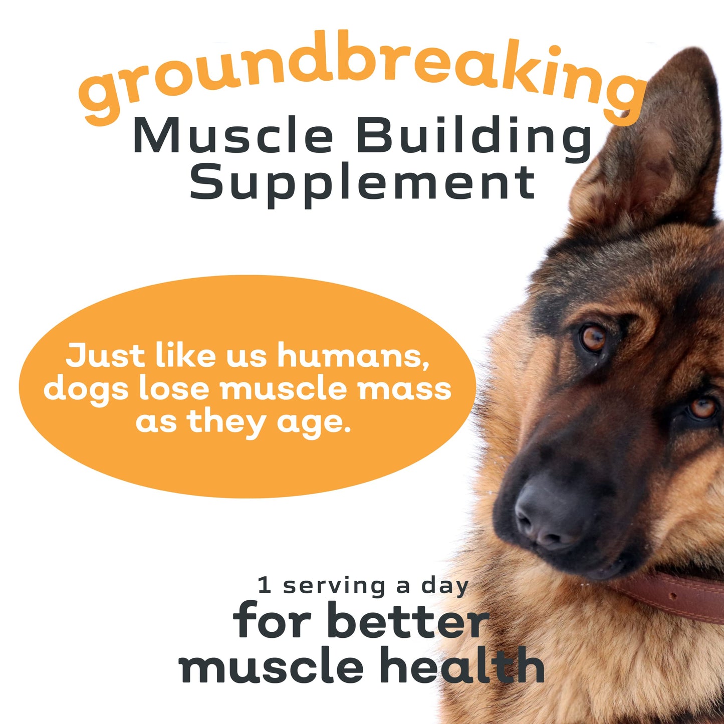 MYOS Canine Muscle & Joint Health Bundle – Fortetropin® Powder (396g) + Bacon-Flavored Mobility Chews with Collagen & Glucosamine (60 Count) - Medaid International
