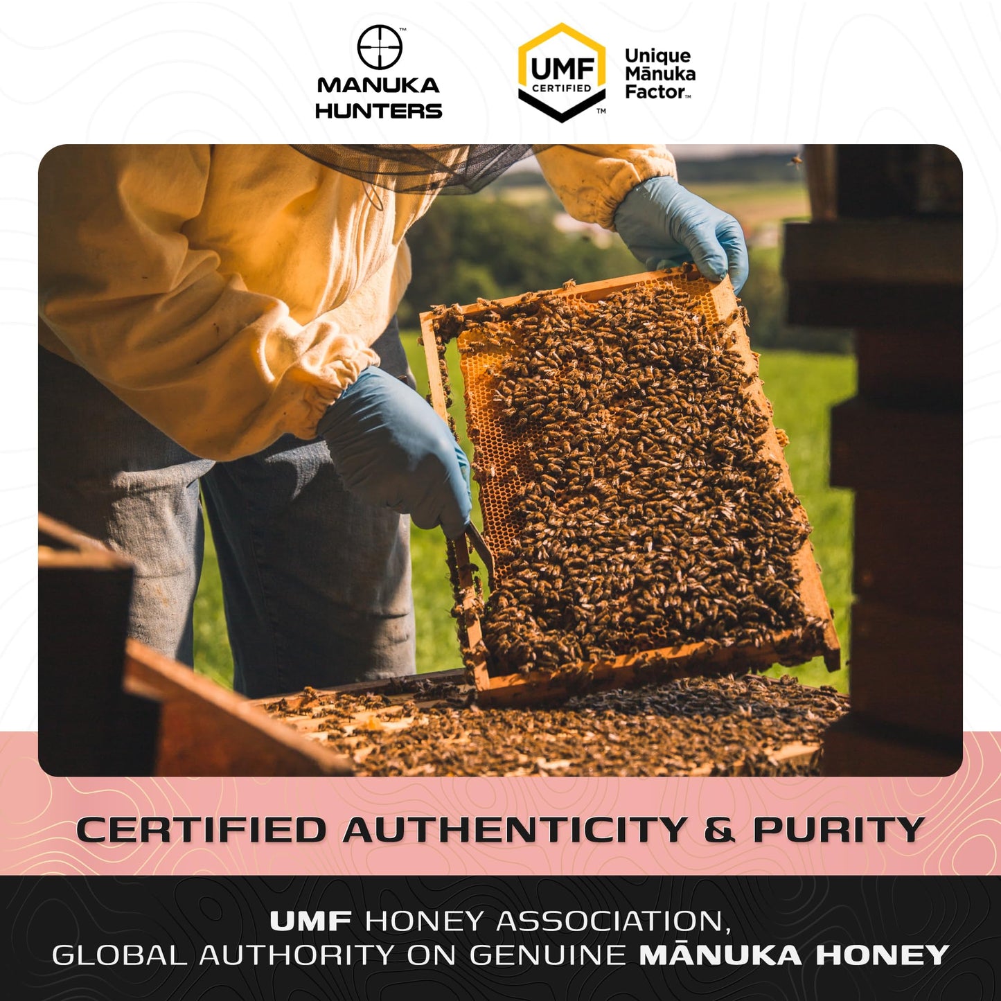 Manuka Hunters UMF 20+/MGO 830+ Certified New Zealand Manuka Honey - 100% Pure Natural Sweetener - Gluten, Dairy Free - Ideal for Tea, Coffee, Smoothies, and Baking - Sustainable - 8.8oz/250g Jar - Medaid International