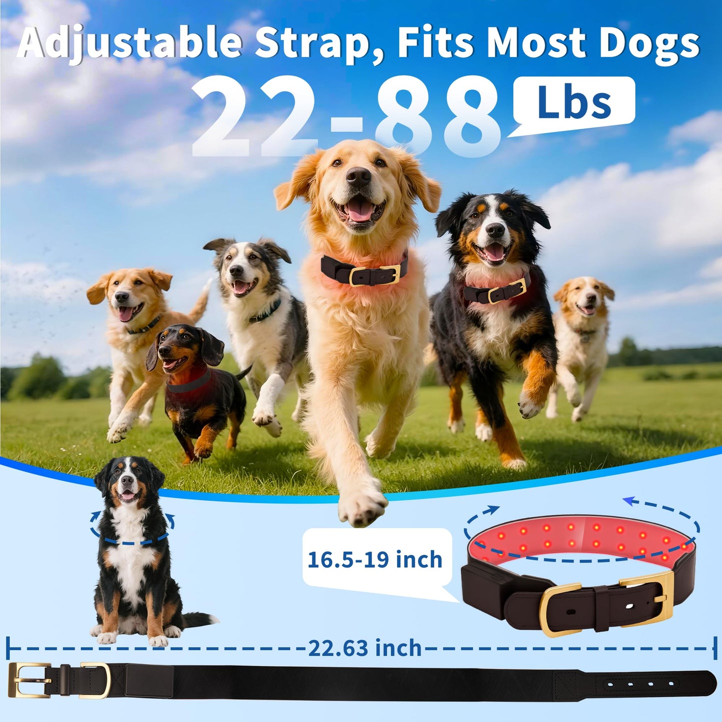 Red Light Therapy Collar for Dog, 660nm & 810nm & 980nm Infrared Red Light Vet Therapy Device for Pet, Cold Laser Therapy Device for Dog Tissue Repair, Pain Relief Arthritis, Promote Blood Circulation - Medaid International