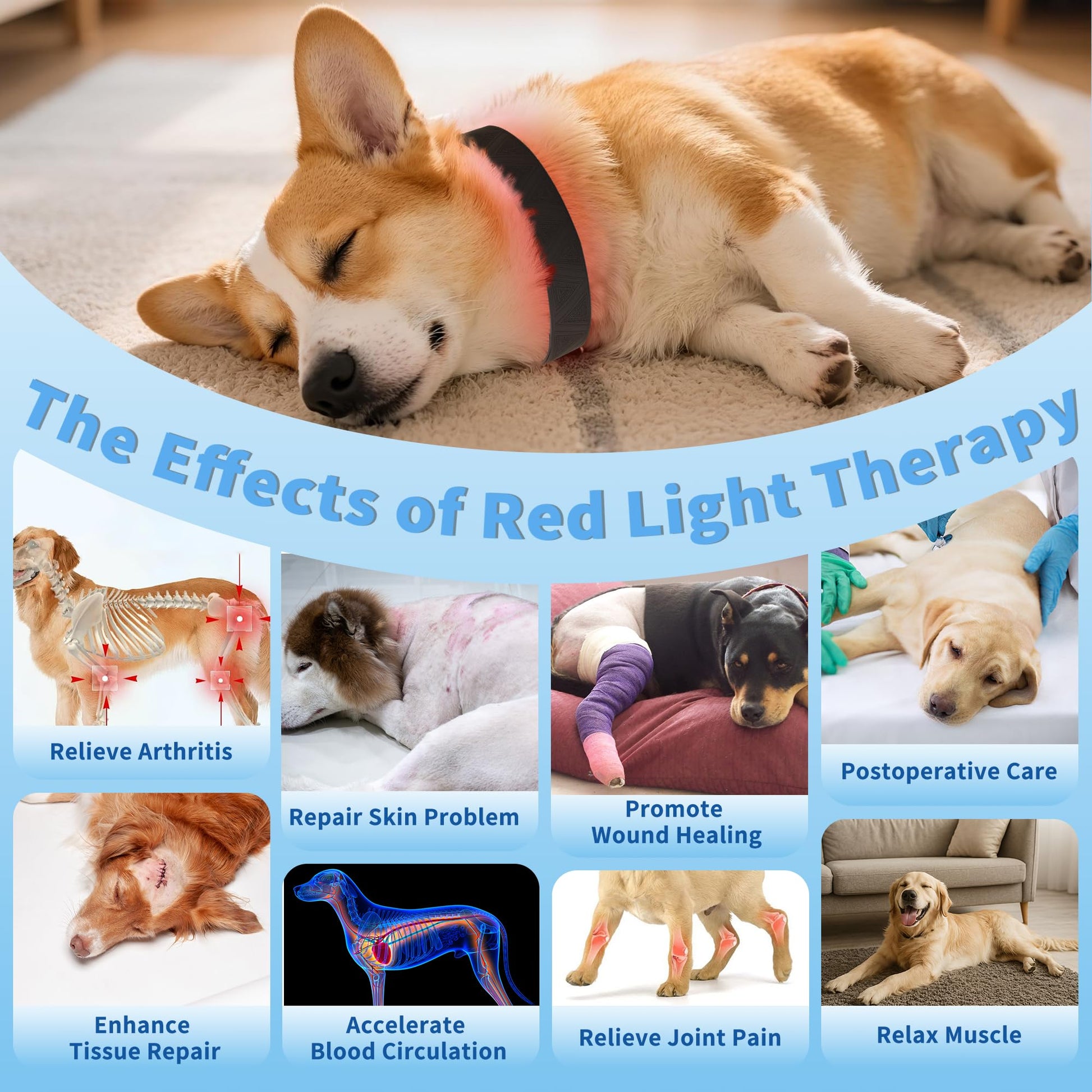 Red Light Therapy Collar for Dog, 660nm & 810nm & 980nm Infrared Red Light Vet Therapy Device for Pet, Cold Laser Therapy Device for Dog Tissue Repair, Pain Relief Arthritis, Promote Blood Circulation - Medaid International