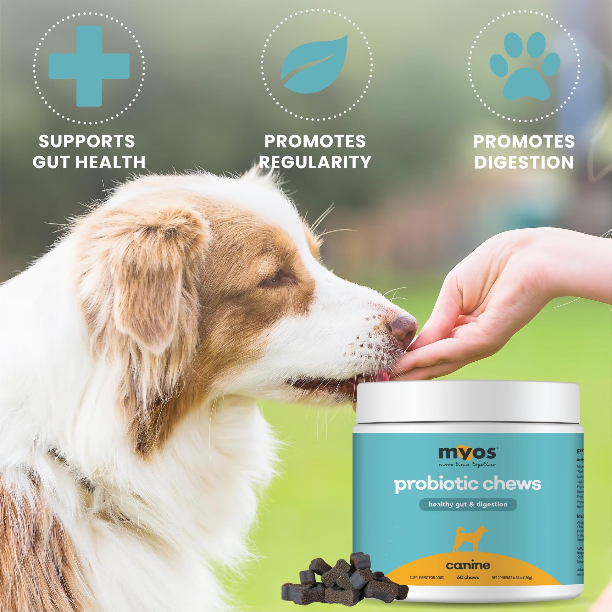 MYOS Probiotic Chew for Dogs - Daily Digestive Support, Promotes Complete Gut Health, Aids Digestion, Enhances Nutrient Absorption, Supports Healthy Stool - All-in-One Chewable Supplement - Medaid International