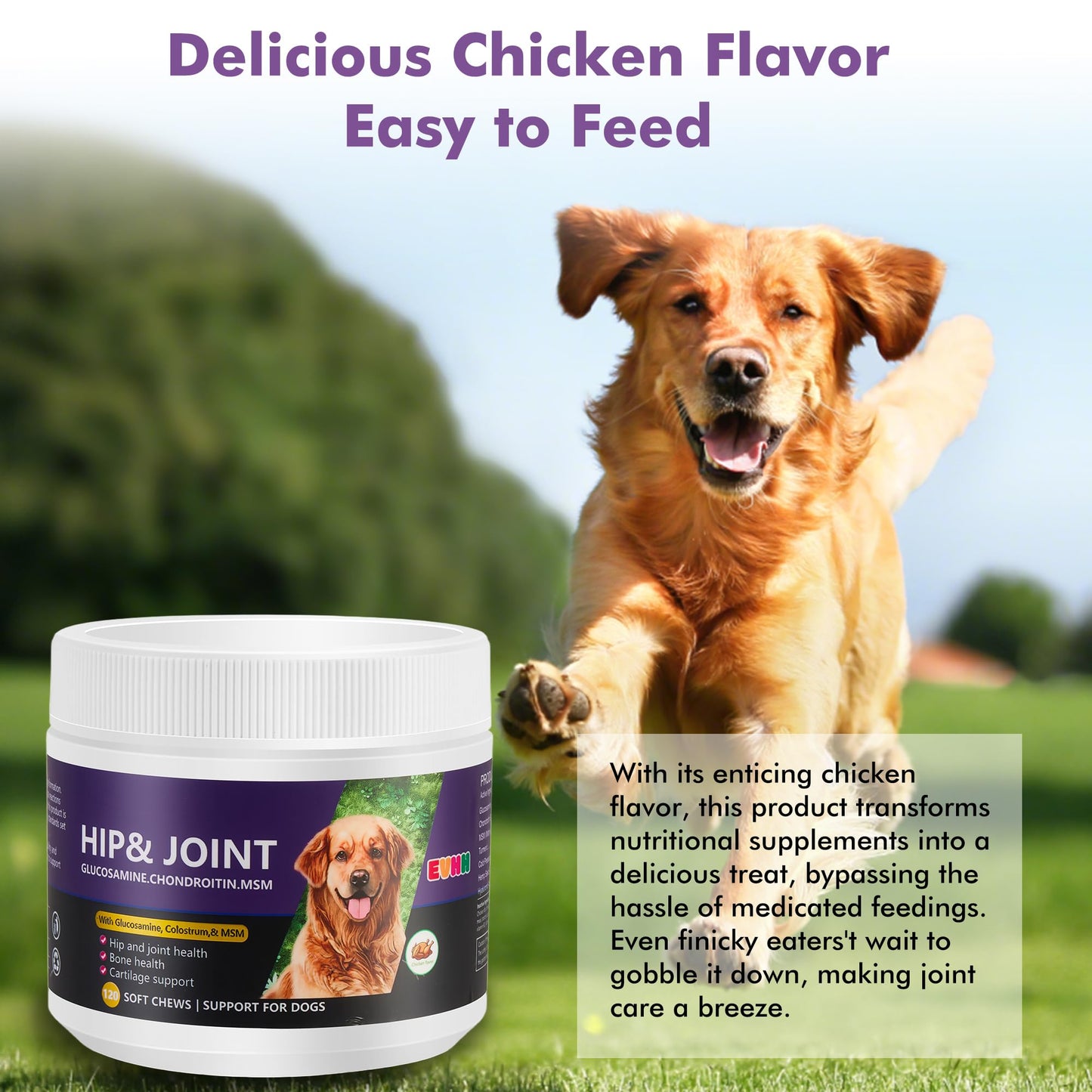 Glucosamine Chondroitin MSM Chewable Tablets for Dogs - Hip & Joint Support Supplement with Vitamins, Chicken Flavor, Joint Pain Relief for Puppies & Senior Dogs, 120 Count