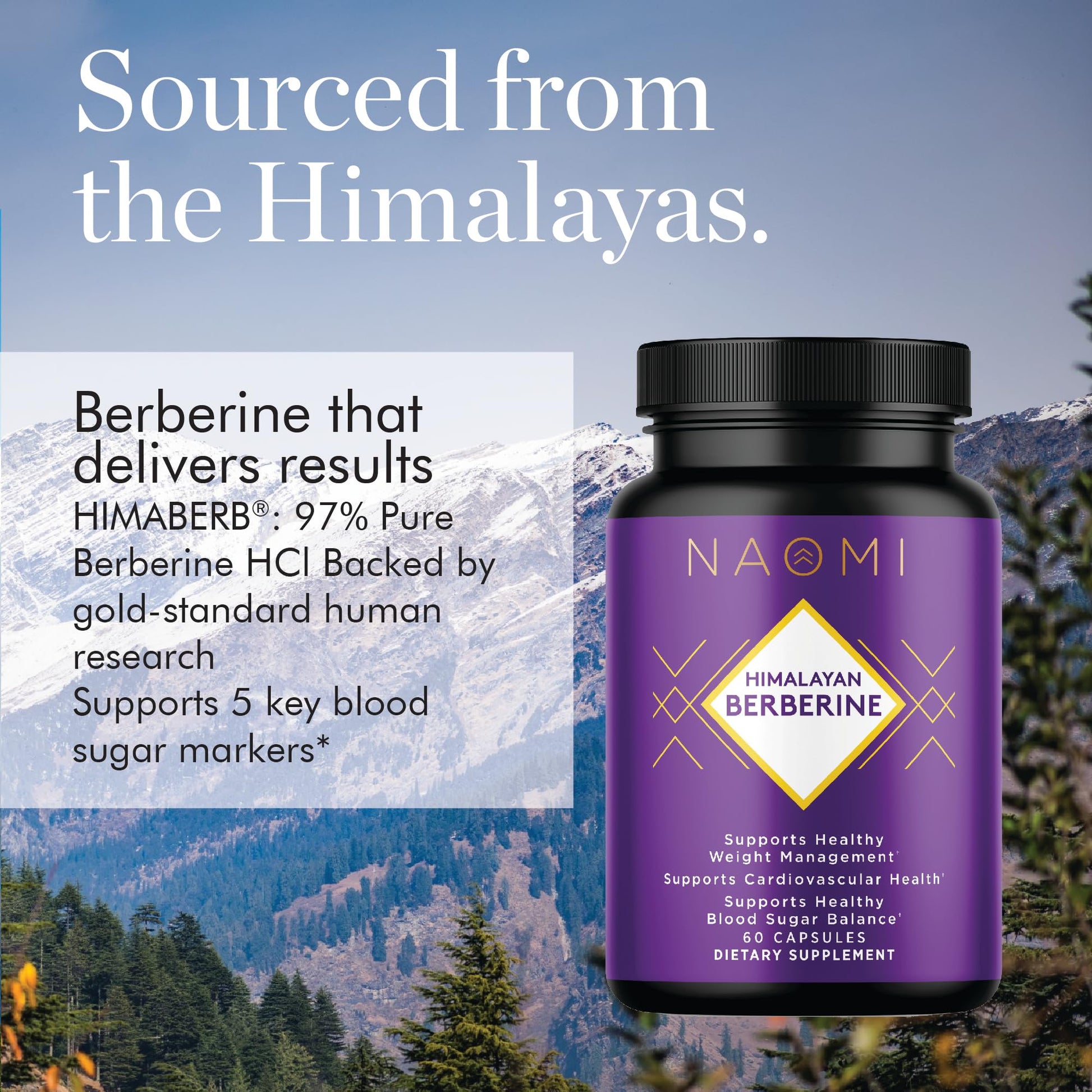 NAOMI Himalayan Berberine 500mg, Clinically Studied for Blood Sugar Support, Metabolic Function, Healthy Weight & Cholesterol, AMPK Activation, Non-GMO, Vegan, Gluten-Free, 60 Capsules, 1-Month Supply - Medaid International