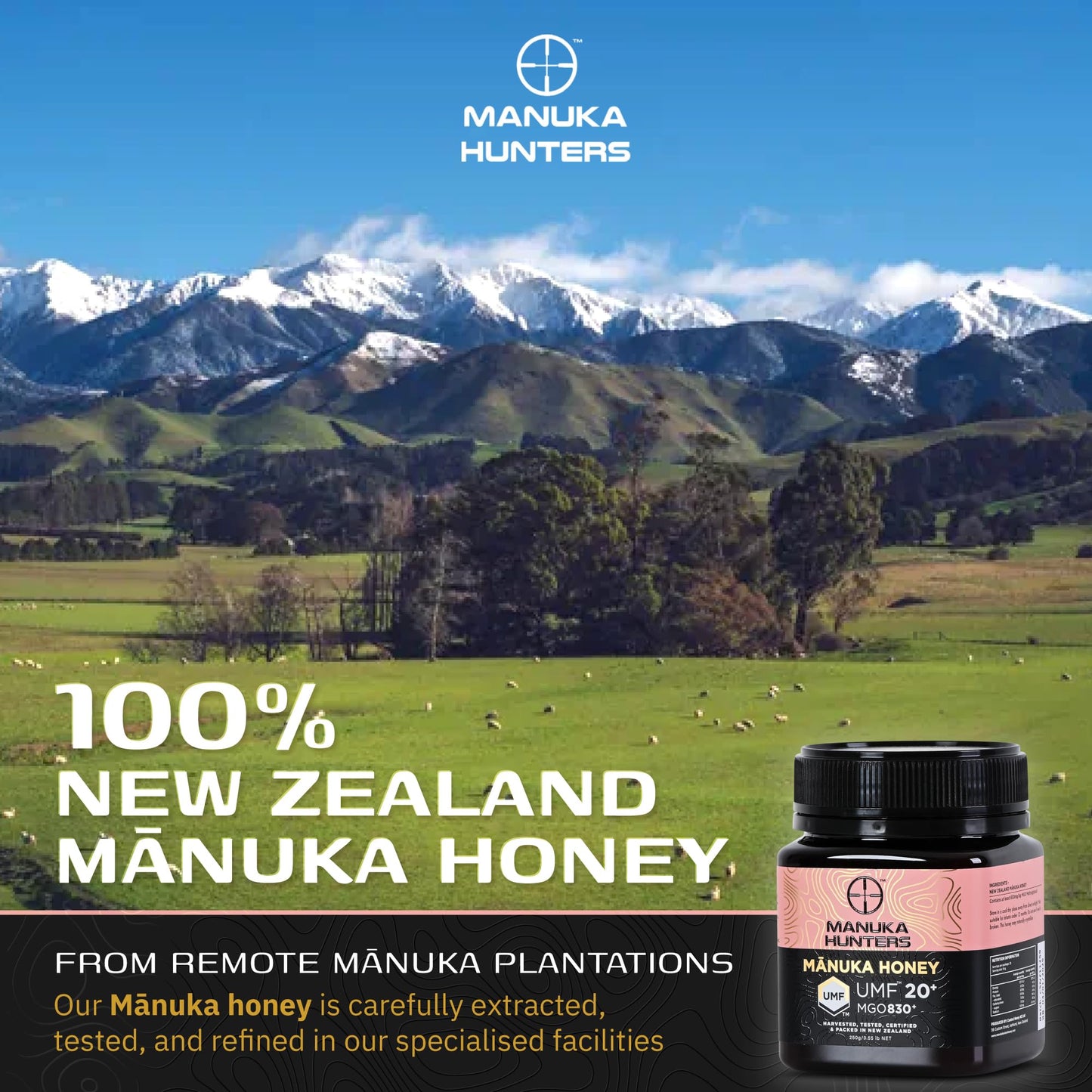 Manuka Hunters UMF 20+/MGO 830+ Certified New Zealand Manuka Honey - 100% Pure Natural Sweetener - Gluten, Dairy Free - Ideal for Tea, Coffee, Smoothies, and Baking - Sustainable - 8.8oz/250g Jar - Medaid International