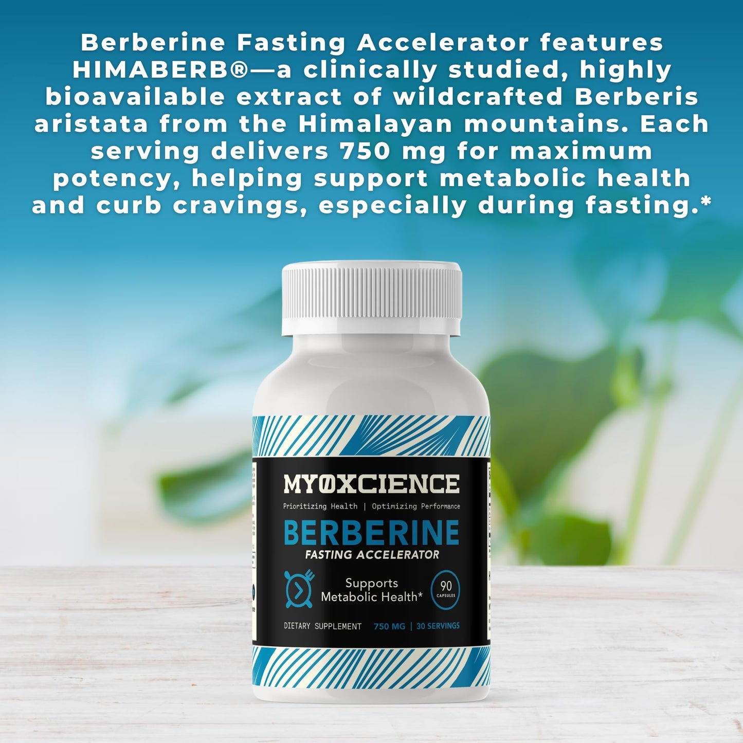 MYOXCIENCE Berberine Fasting Accelerator | Himaberb Berberine HCL with ALA (Alpha Lipoic Acid) and Biotin (90 Capsules) - Medaid International
