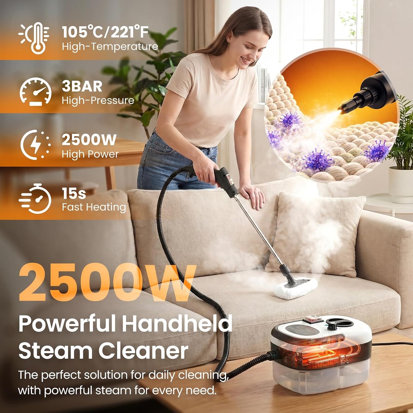 Portable Steam Cleaner (202625c)