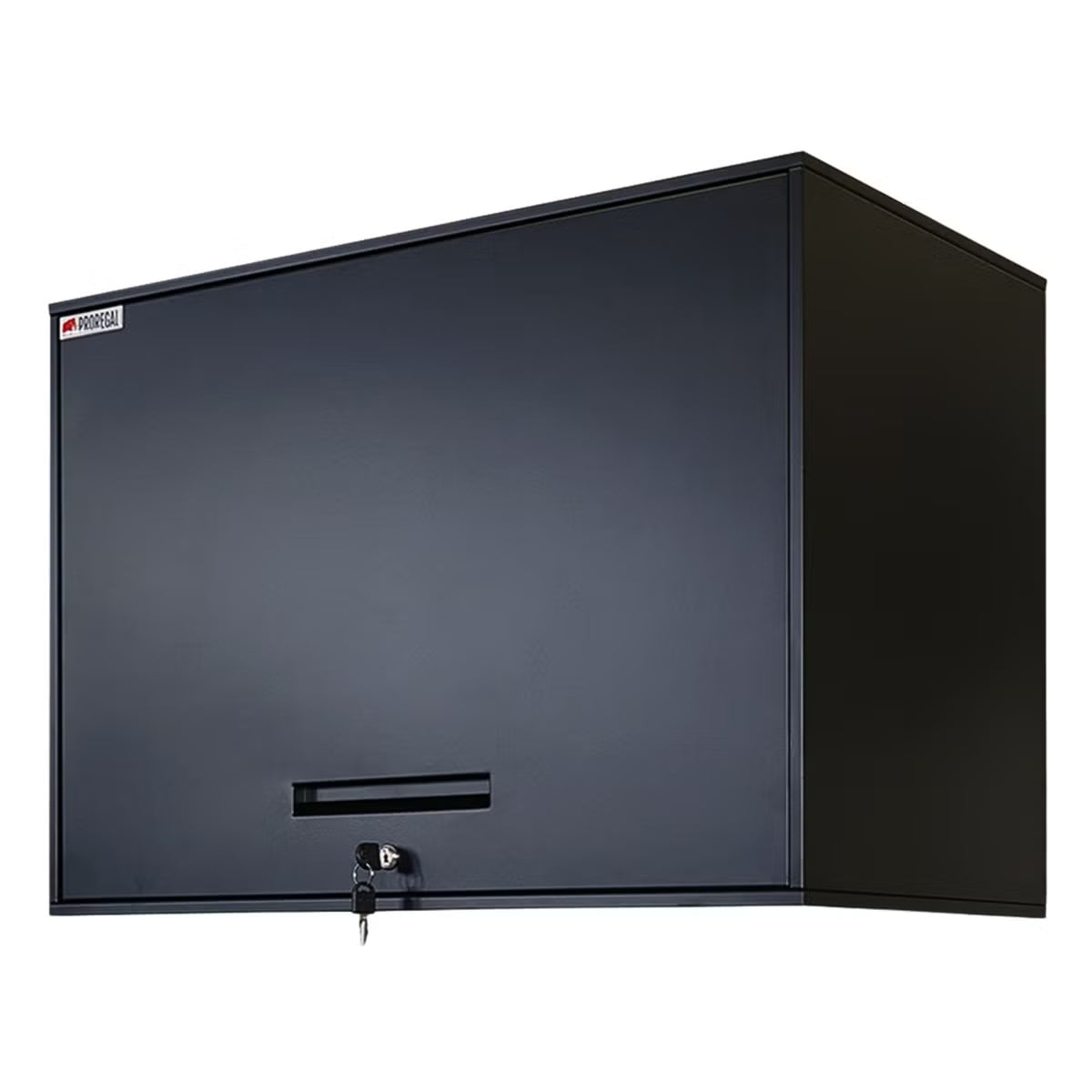 Wall-Mounted Metal Tools Cabinet