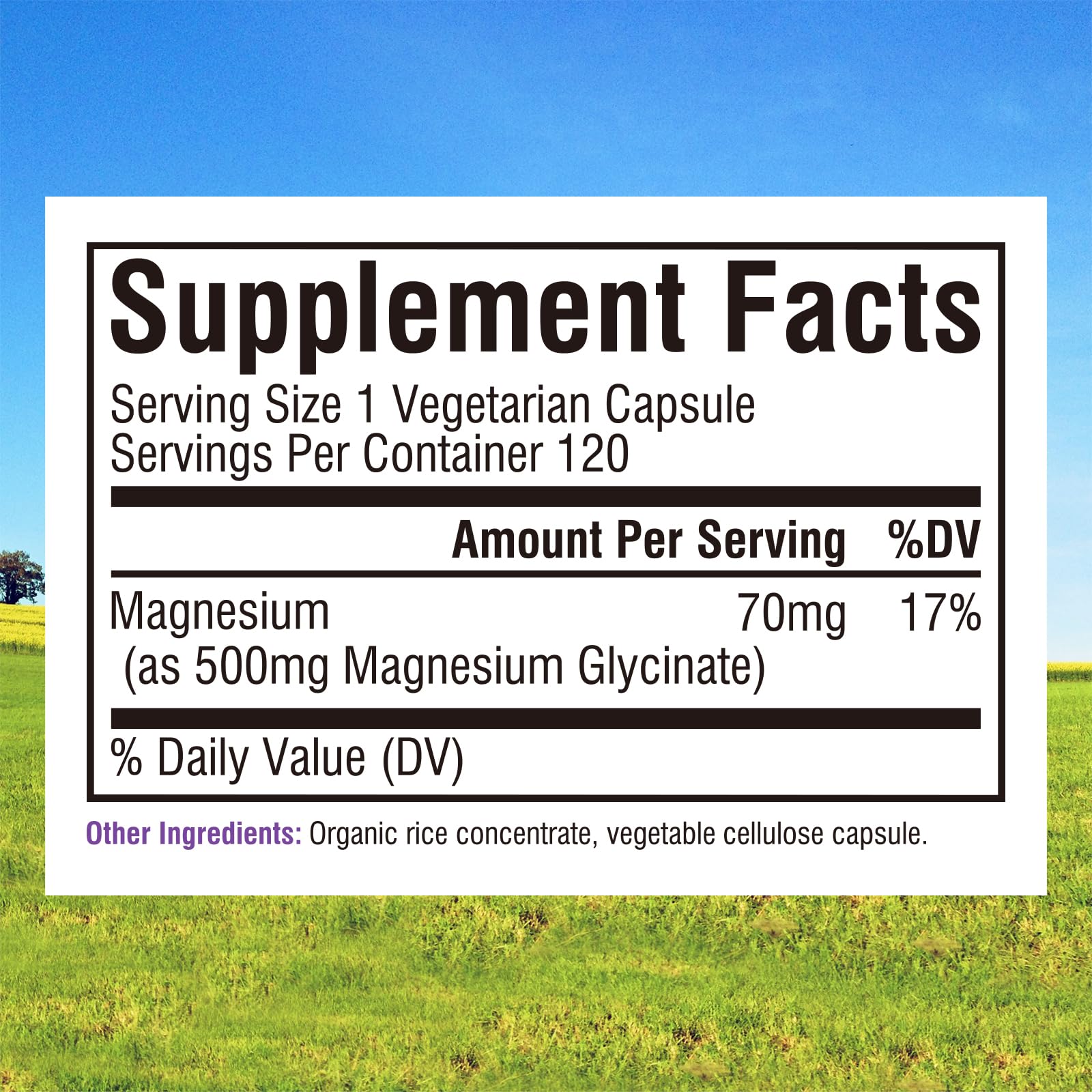 Innate Vitality Magnesium Glycinate 500mg | 70mg Elemental Magnesium Supplement- High Absorption, Non Buffered, Non-GMO & No Gluten - Nerve, Muscle, Bone Health - 120 Vegan Capsules Magnesio - Medaid International