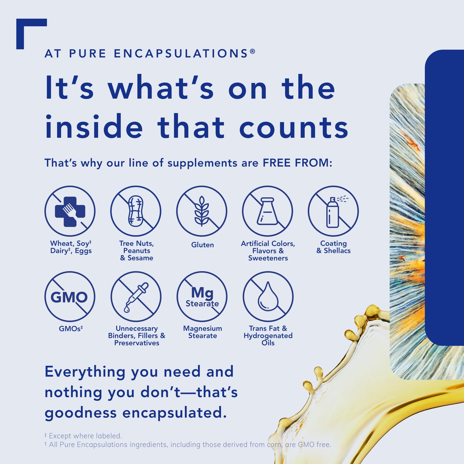 Pure Encapsulations DHEA 25 mg - Supplement for Immune Support, Hormone Balance, Metabolism Support, and Energy Levels* - with Micronized DHEA - 60 Capsules - Medaid International