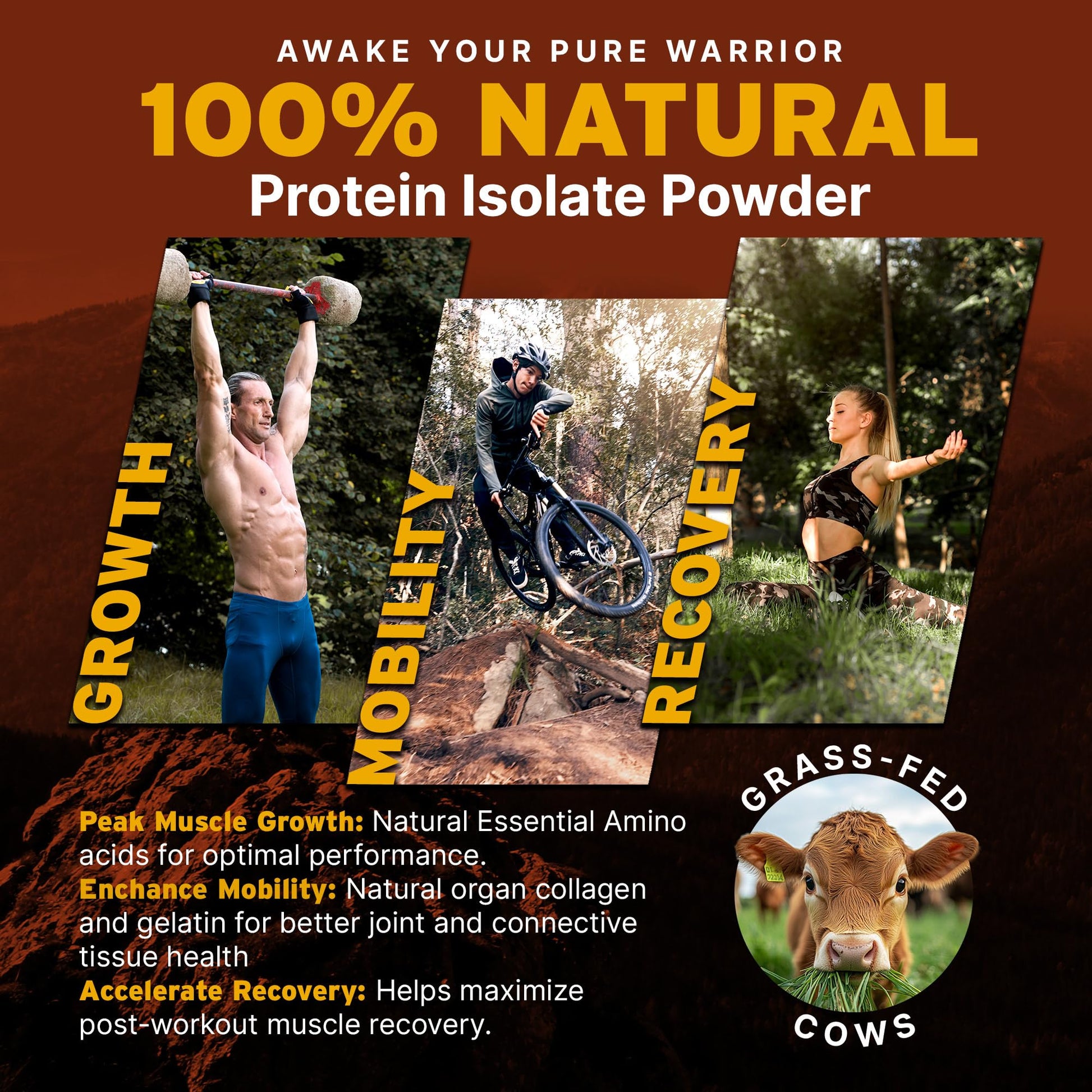 PaleoPro Protein Powder Grass-Fed, Pastured, Cage-Free Protein | Gluten & Dairy Free. No Sugar, Soy, Grains or Net Carbs | Paleo & Keto Friendly - 15 Servings (16 oz, Plain) - Medaid International