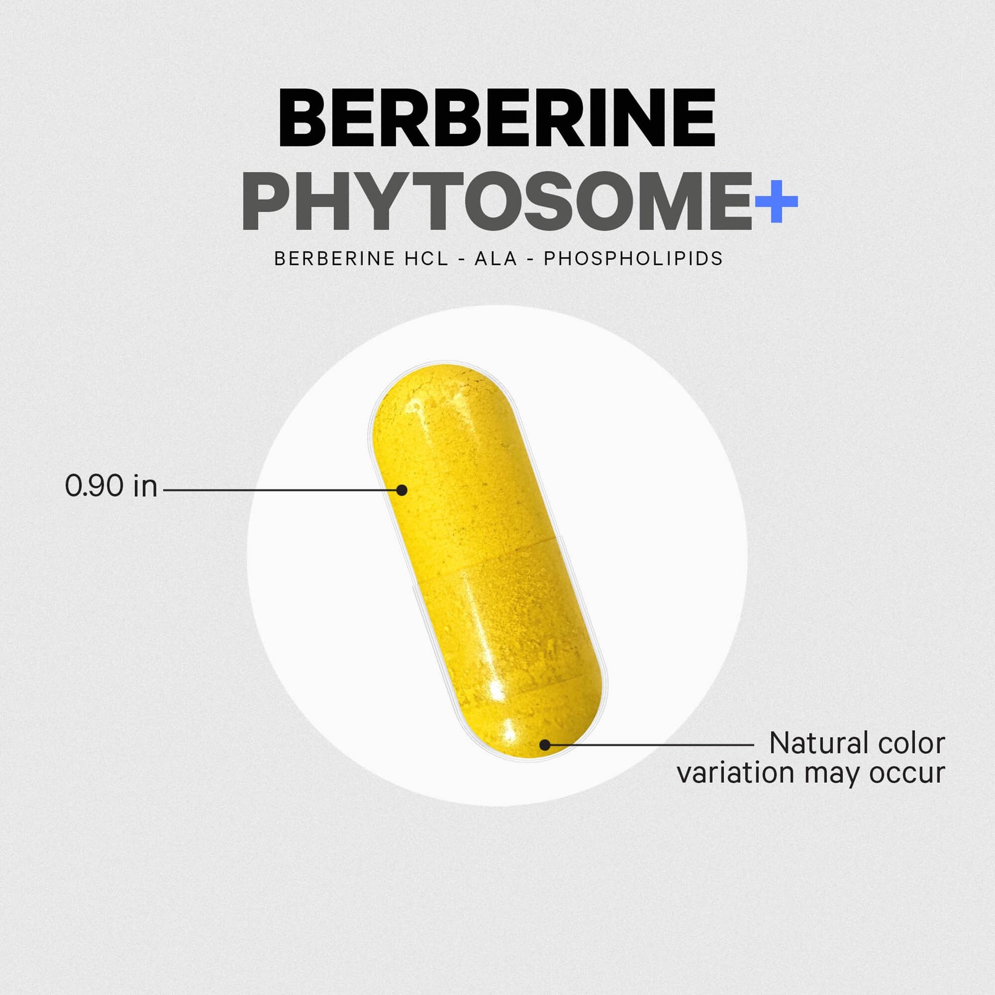 Codeage Berberine Phytosome Supplement - Berberine HCL, Alpha Lipoic Acid, Phospholipid Complex - 2-Month Supply - Berberine HCL - Berberine Hydrochloride - Gluten-Free, Non-GMO - 60 Capsules - Medaid International