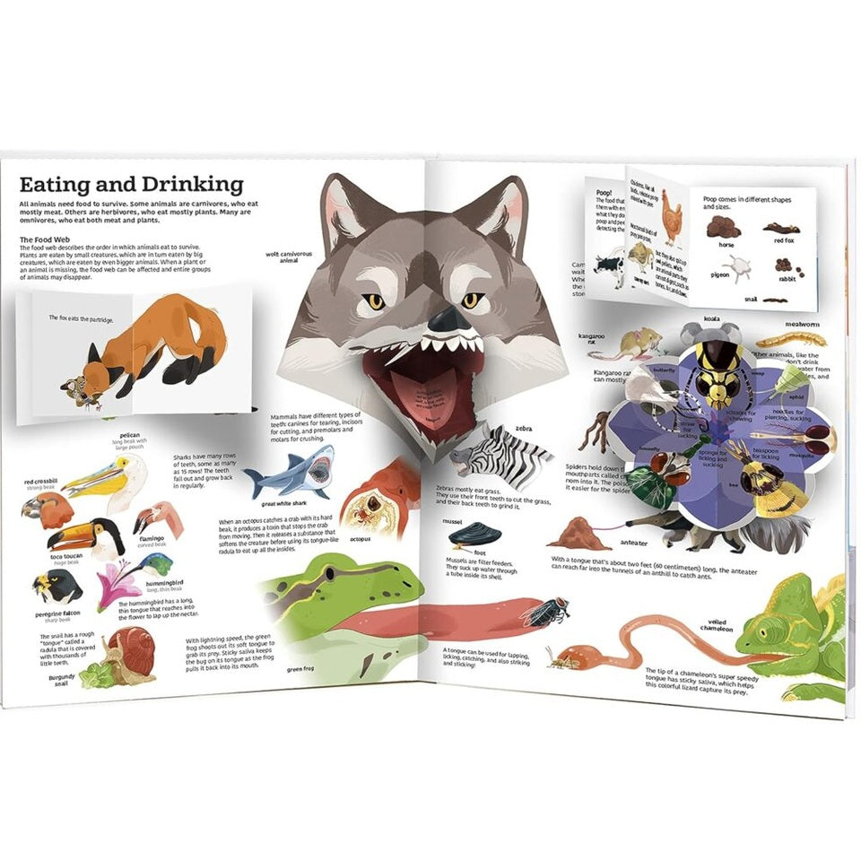 Tumama Kids - The Ultimate Book Of Animals